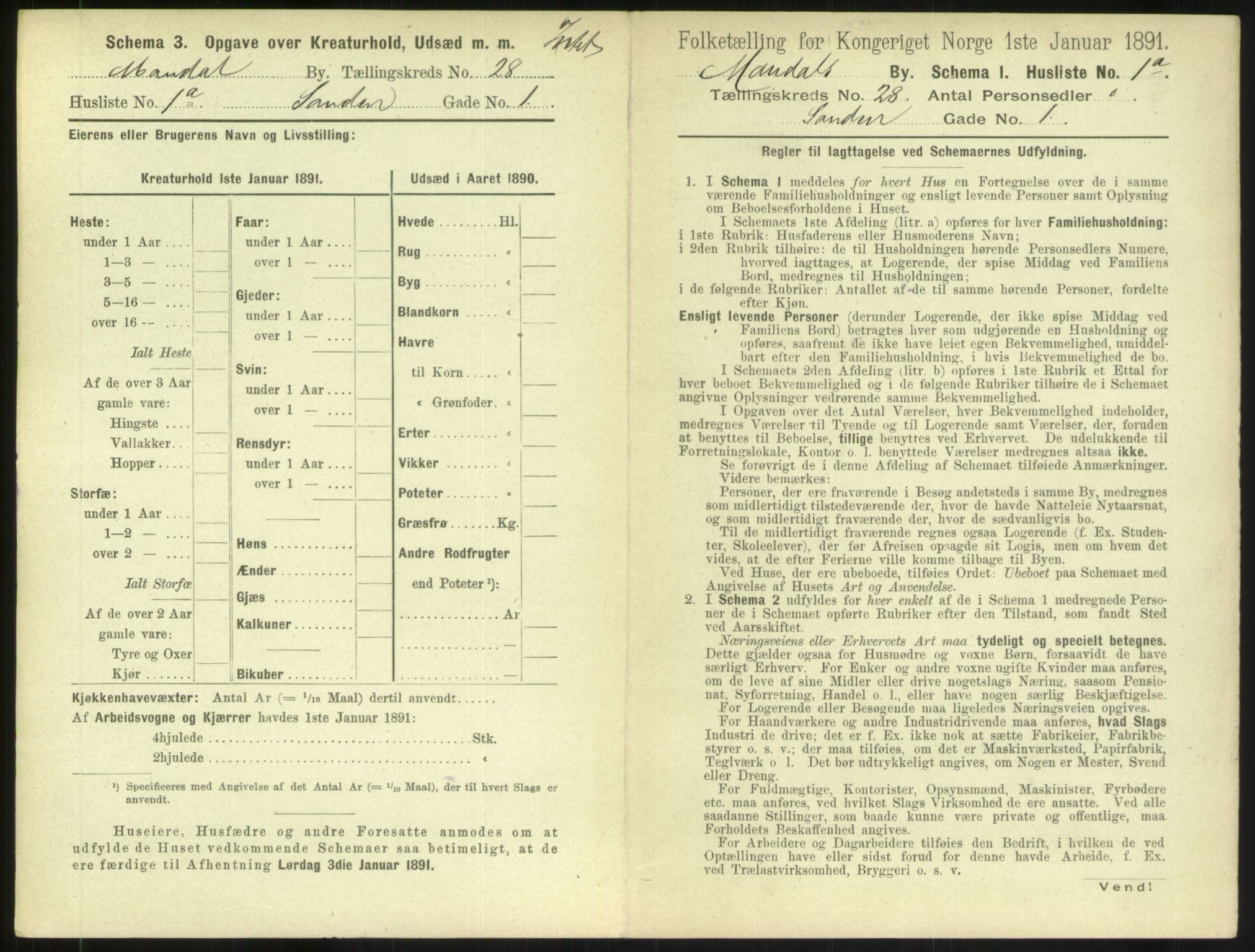 RA, 1891 census for 1002 Mandal, 1891, p. 1243