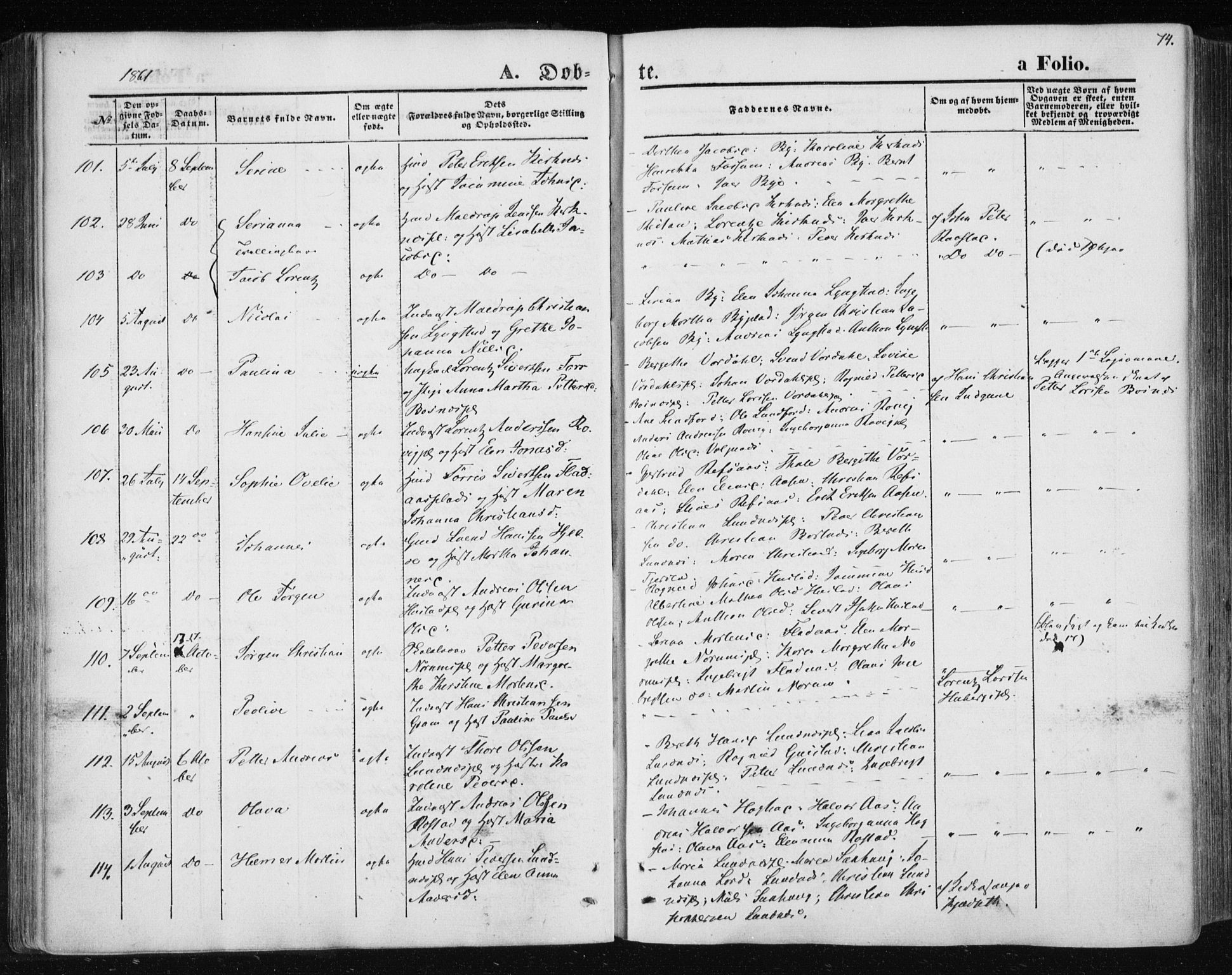 Ministerialprotokoller, klokkerbøker og fødselsregistre - Nord-Trøndelag, AV/SAT-A-1458/730/L0283: Parish register (official) no. 730A08, 1855-1865, p. 74