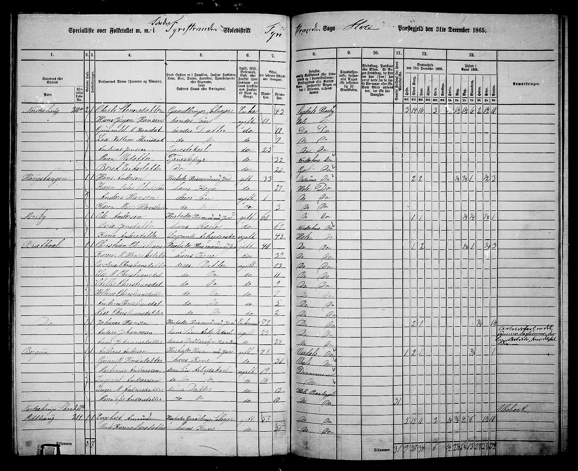 RA, 1865 census for Hole, 1865, p. 146