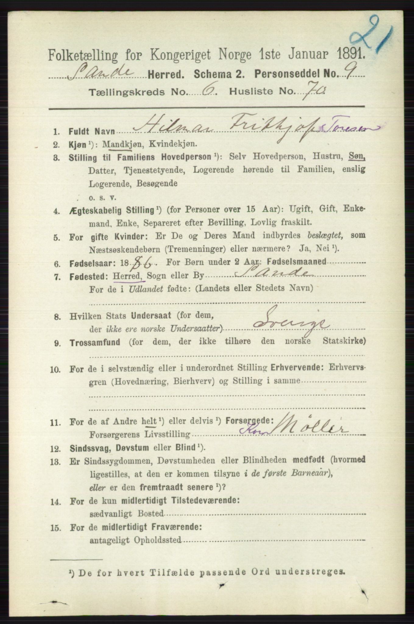 RA, 1891 census for 0713 Sande, 1891, p. 3071