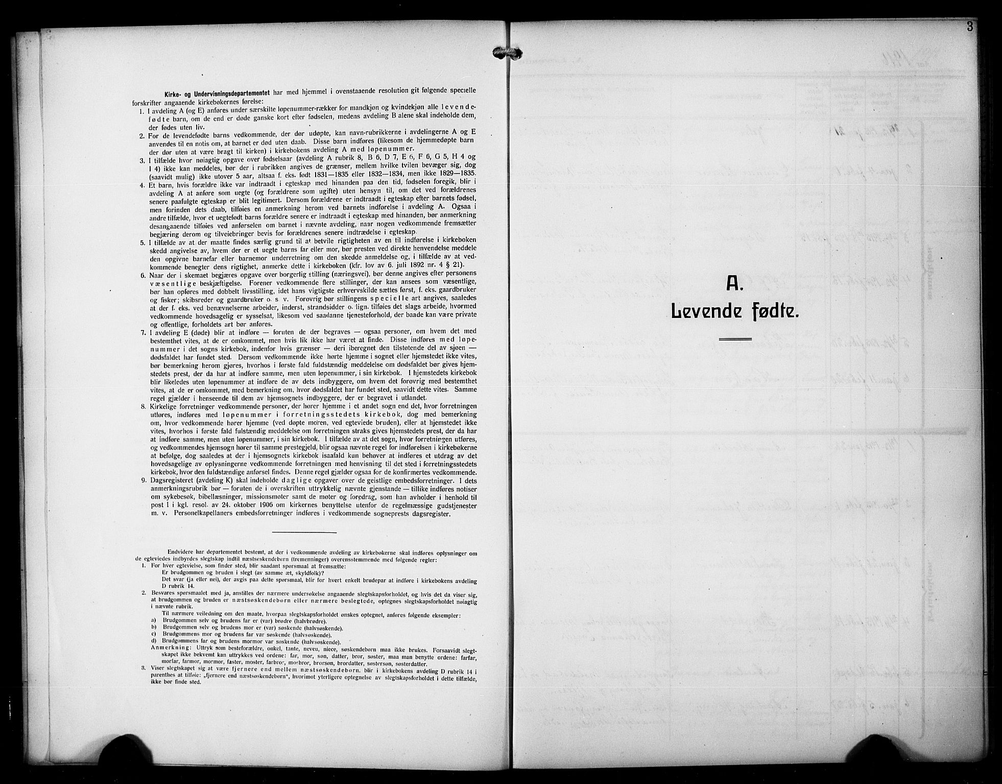 Birkeland Sokneprestembete, SAB/A-74601/H/Hab: Parish register (copy) no. A 7, 1916-1923, p. 3
