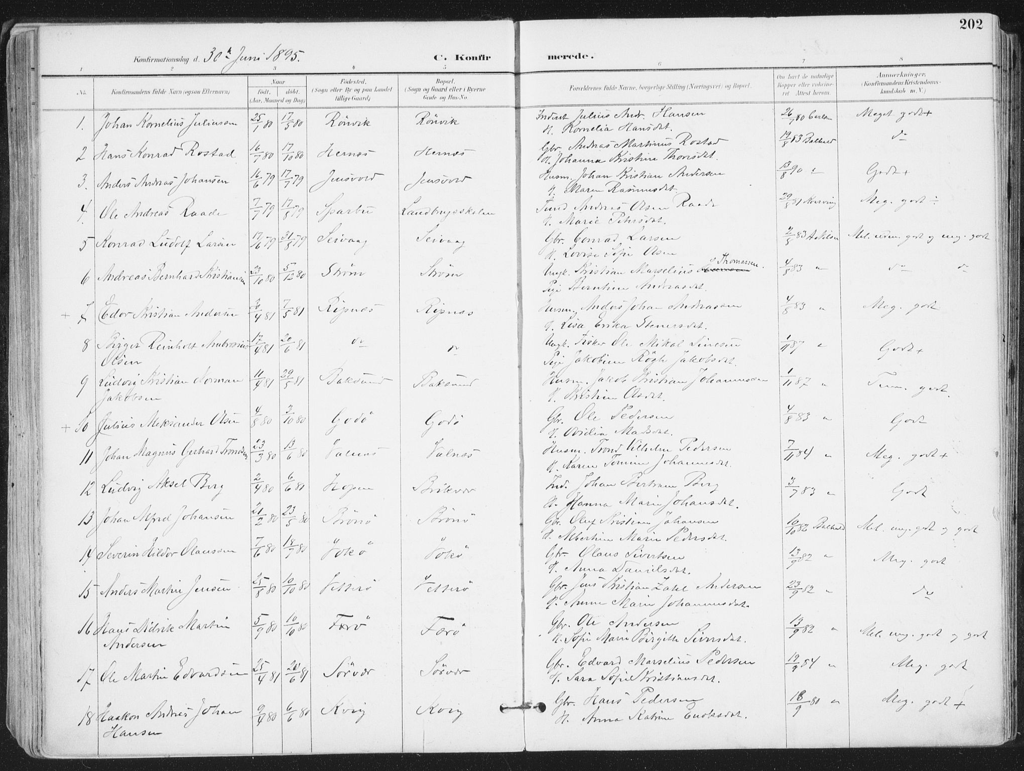 Ministerialprotokoller, klokkerbøker og fødselsregistre - Nordland, AV/SAT-A-1459/802/L0055: Parish register (official) no. 802A02, 1894-1915, p. 202