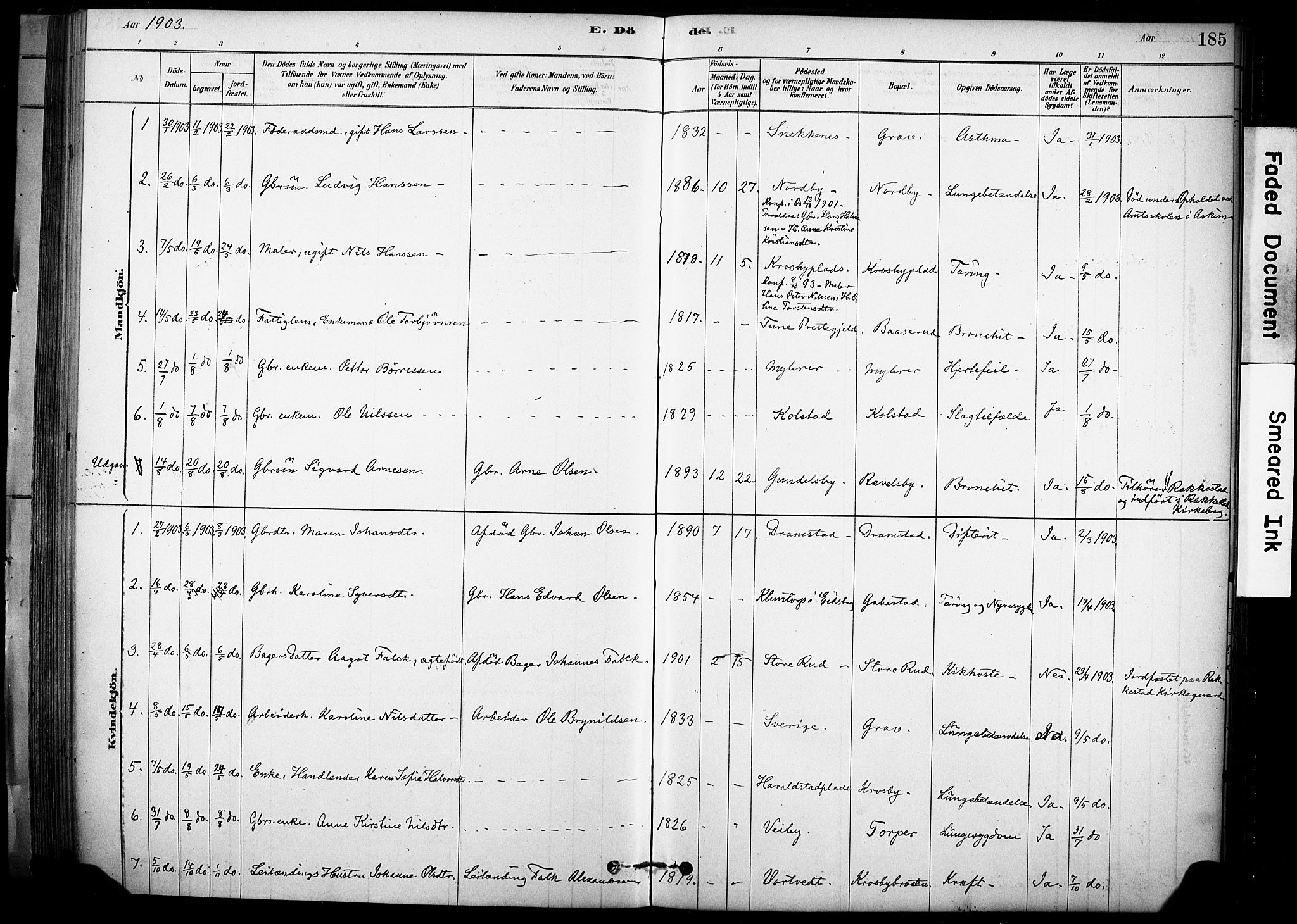 Rakkestad prestekontor Kirkebøker, SAO/A-2008/F/Fc/L0001: Parish register (official) no. III 1, 1878-1905, p. 185