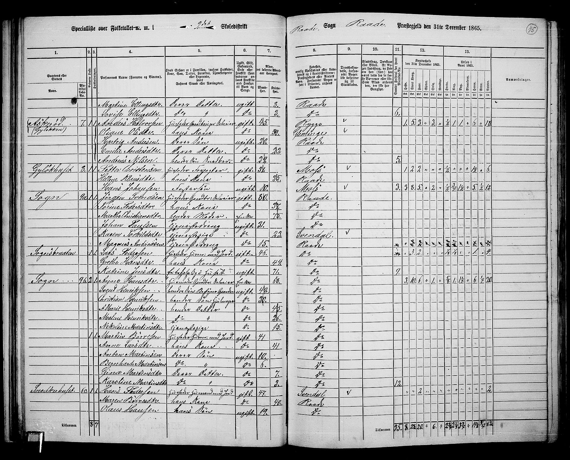 RA, 1865 census for Råde, 1865, p. 39