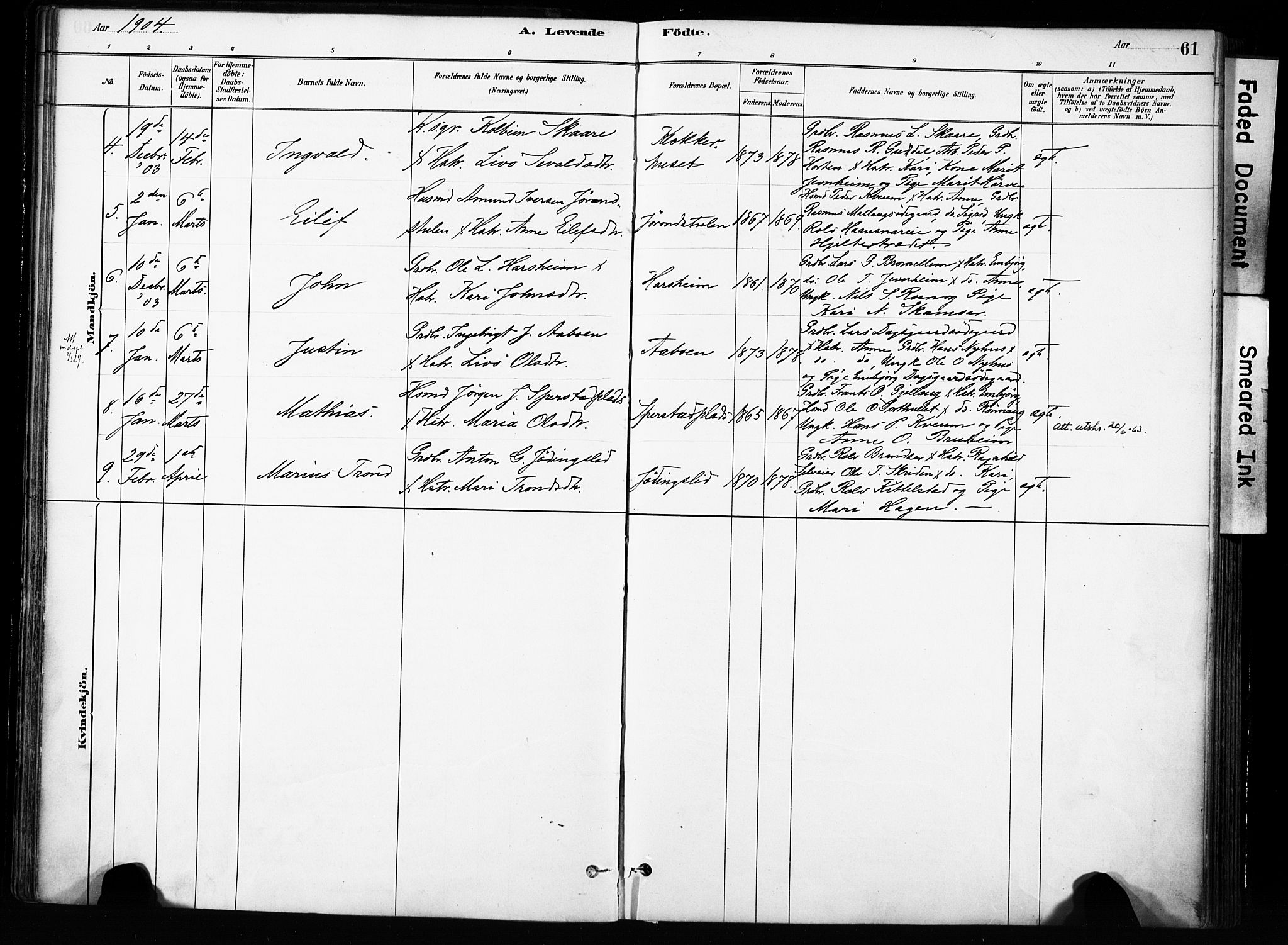 Skjåk prestekontor, AV/SAH-PREST-072/H/Ha/Haa/L0004: Parish register (official) no. 4, 1880-1904, p. 61