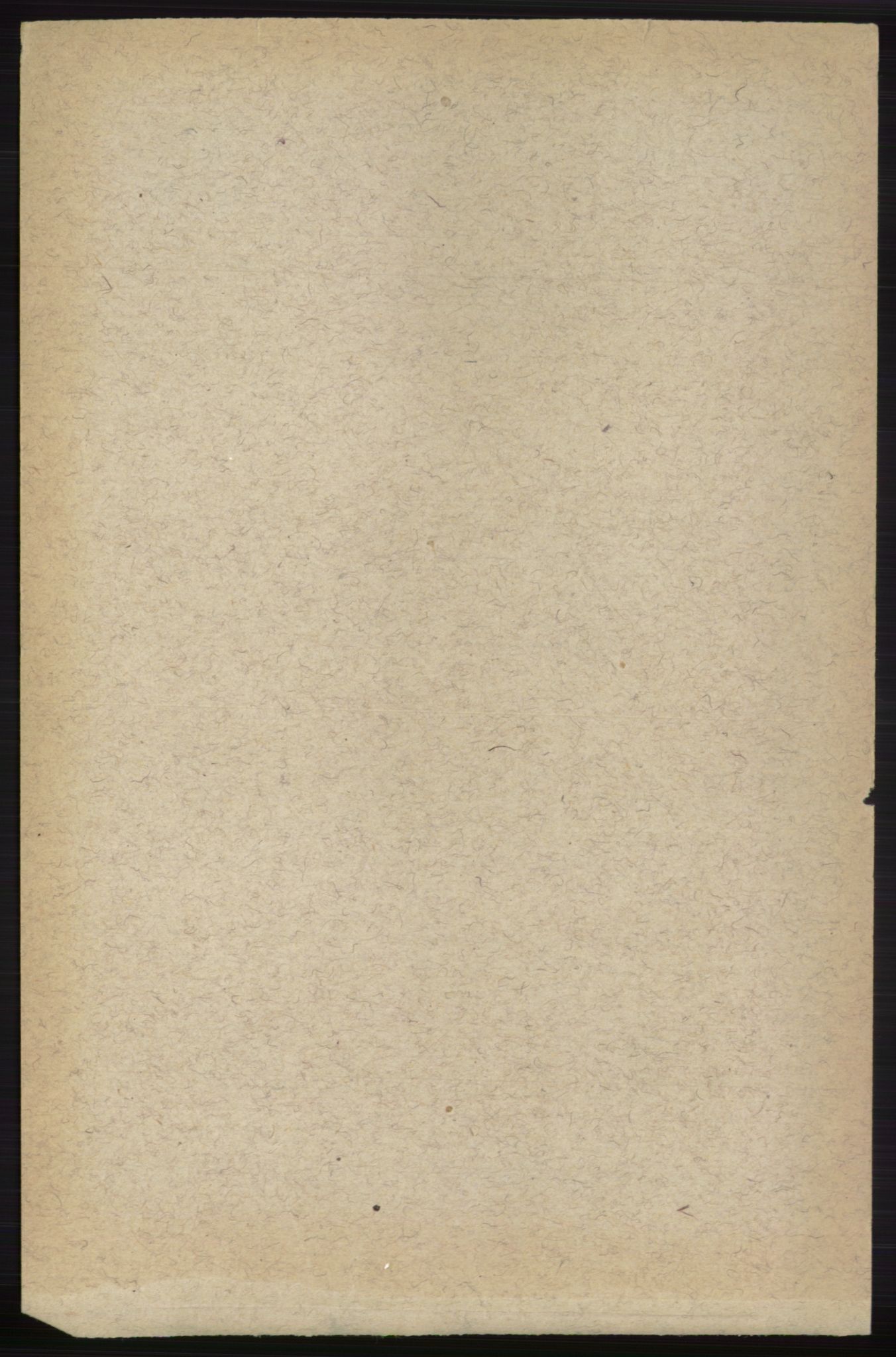 RA, 1891 census for 0712 Skoger, 1891, p. 4466