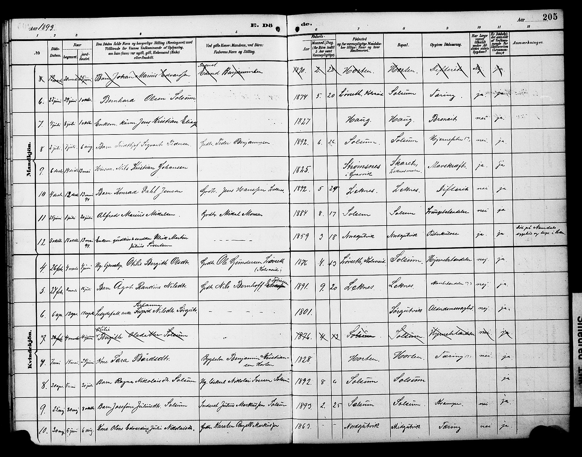 Ministerialprotokoller, klokkerbøker og fødselsregistre - Nord-Trøndelag, SAT/A-1458/788/L0701: Parish register (copy) no. 788C01, 1888-1913, p. 205
