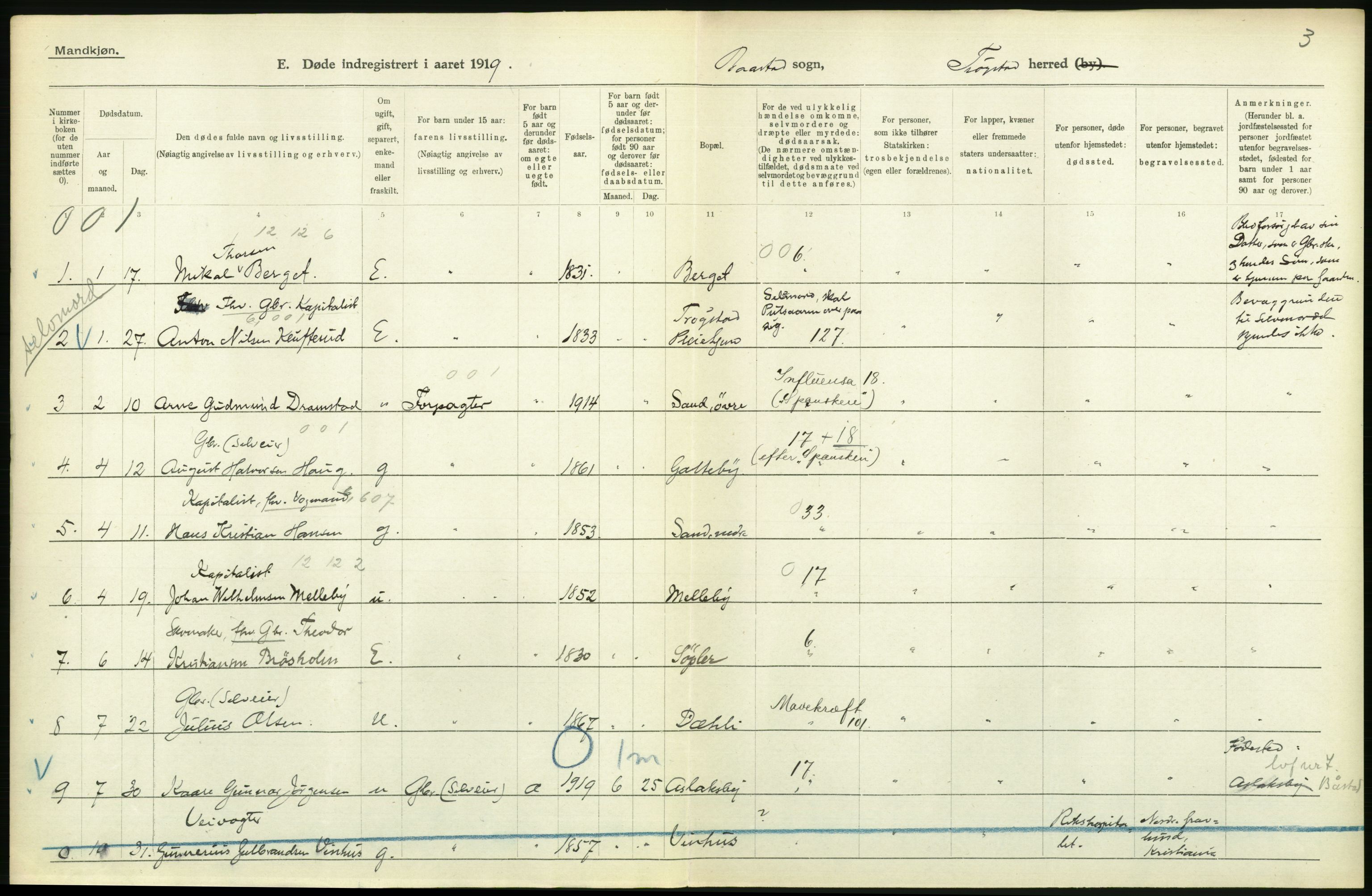 Statistisk sentralbyrå, Sosiodemografiske emner, Befolkning, AV/RA-S-2228/D/Df/Dfb/Dfbi/L0003: Østfold fylke: Døde. Bygder og byer., 1919