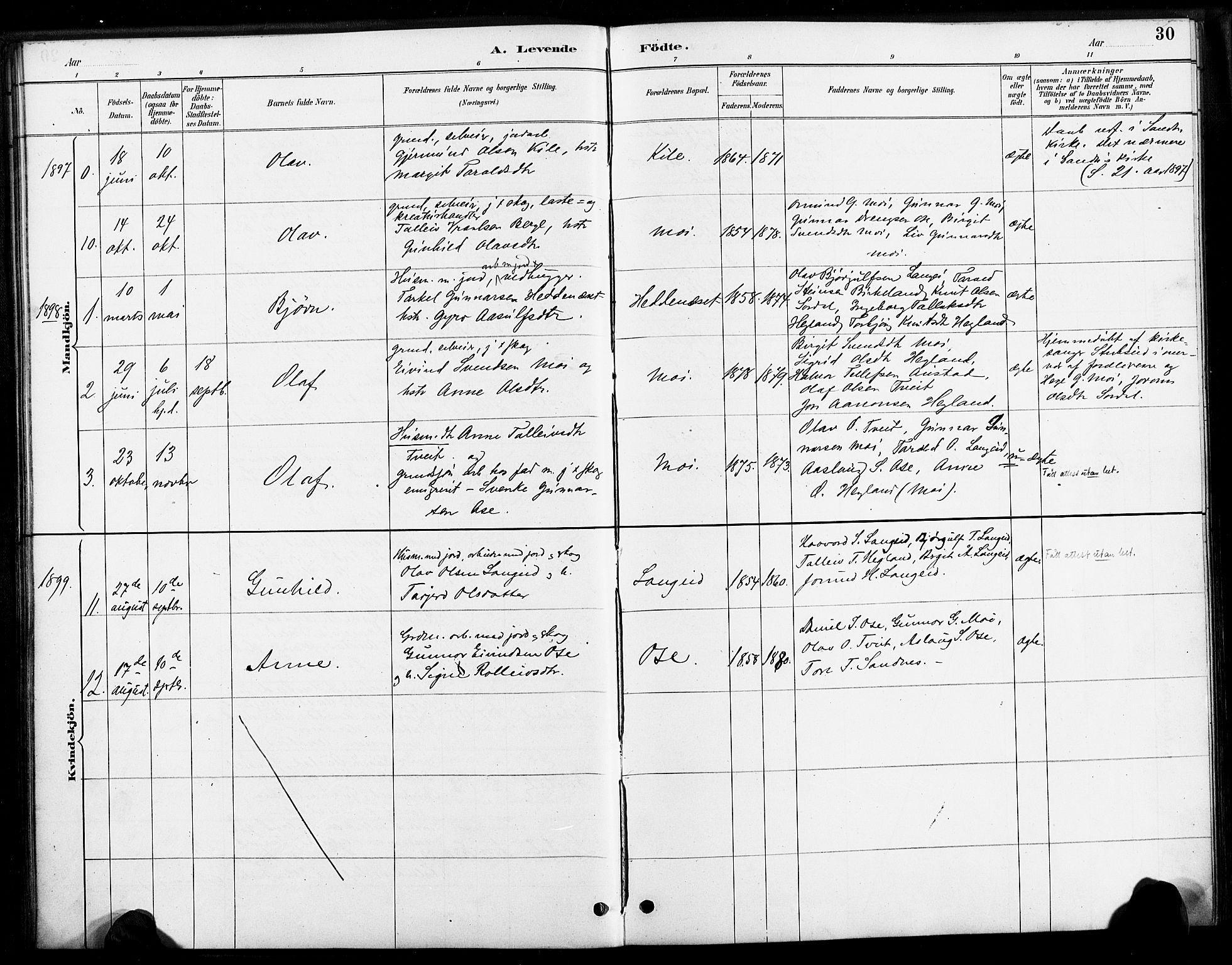 Bygland sokneprestkontor, AV/SAK-1111-0006/F/Fa/Faa/L0001: Parish register (official) no. A 1, 1885-1908, p. 30