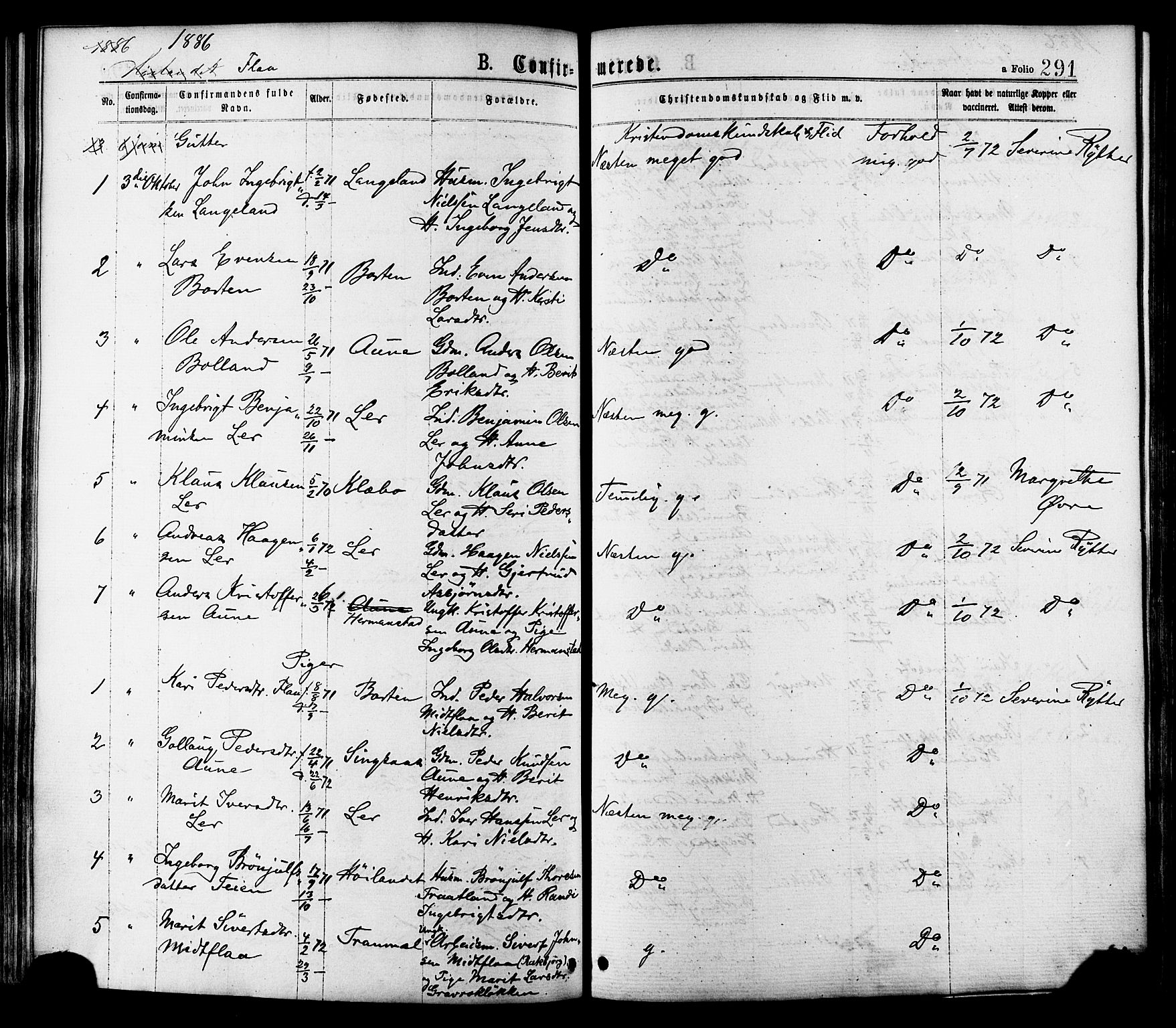 Ministerialprotokoller, klokkerbøker og fødselsregistre - Sør-Trøndelag, AV/SAT-A-1456/691/L1079: Parish register (official) no. 691A11, 1873-1886, p. 291