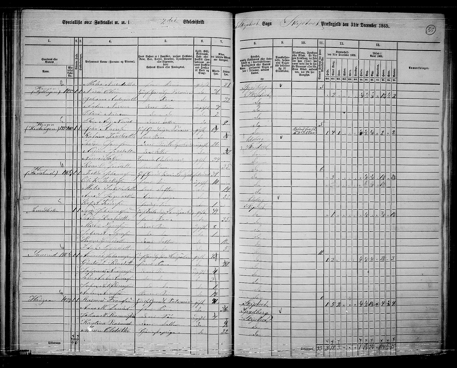 RA, 1865 census for Skiptvet, 1865, p. 48