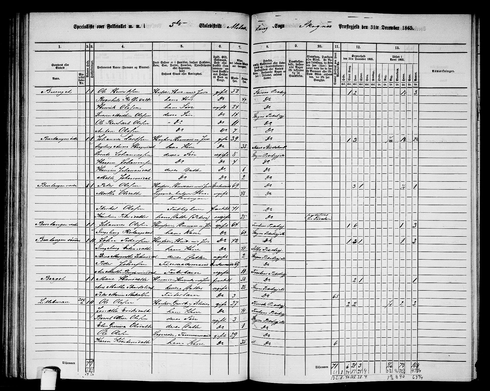 RA, 1865 census for Skogn, 1865, p. 133