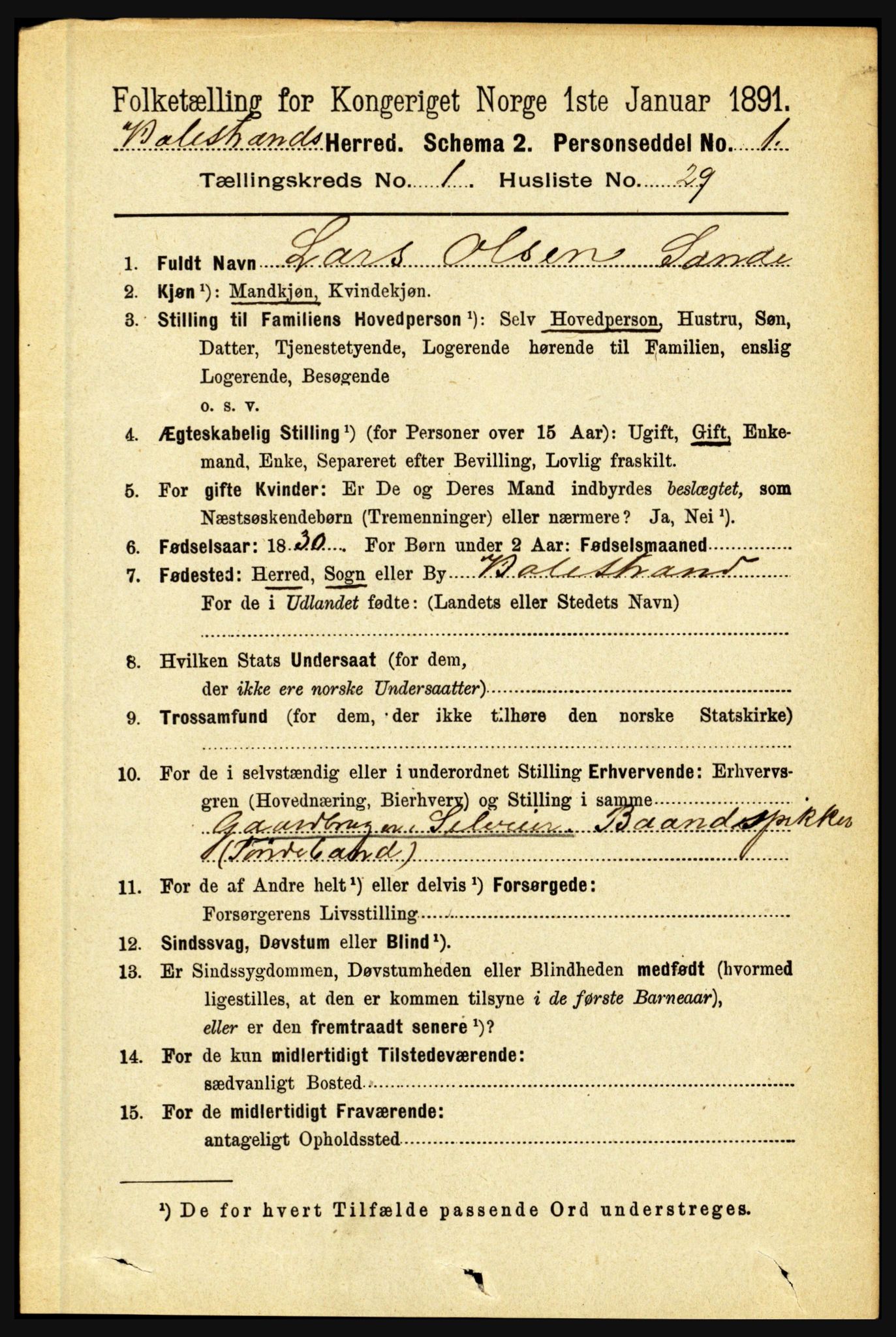 RA, 1891 census for 1418 Balestrand, 1891, p. 216