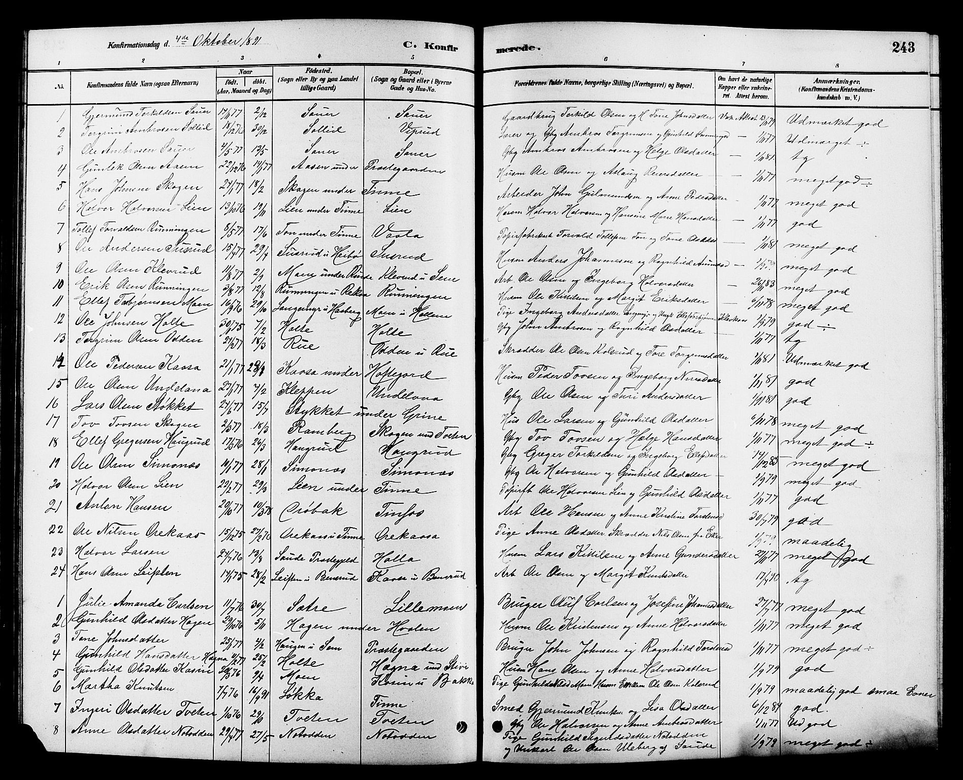 Heddal kirkebøker, SAKO/A-268/G/Ga/L0002: Parish register (copy) no. I 2, 1879-1908, p. 243