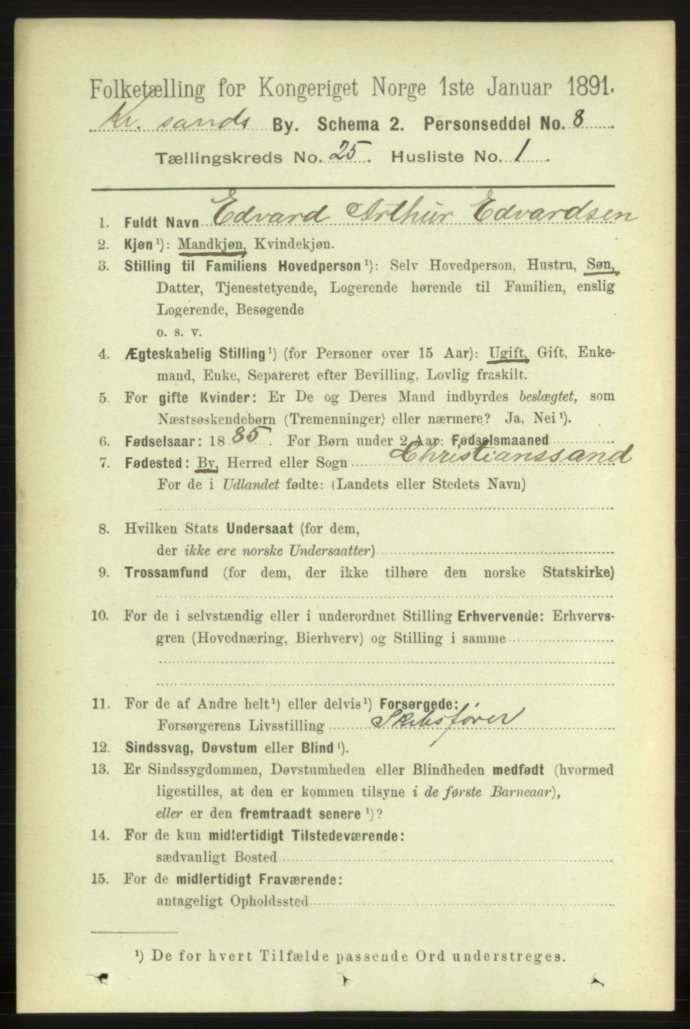 RA, 1891 census for 1001 Kristiansand, 1891, p. 8702