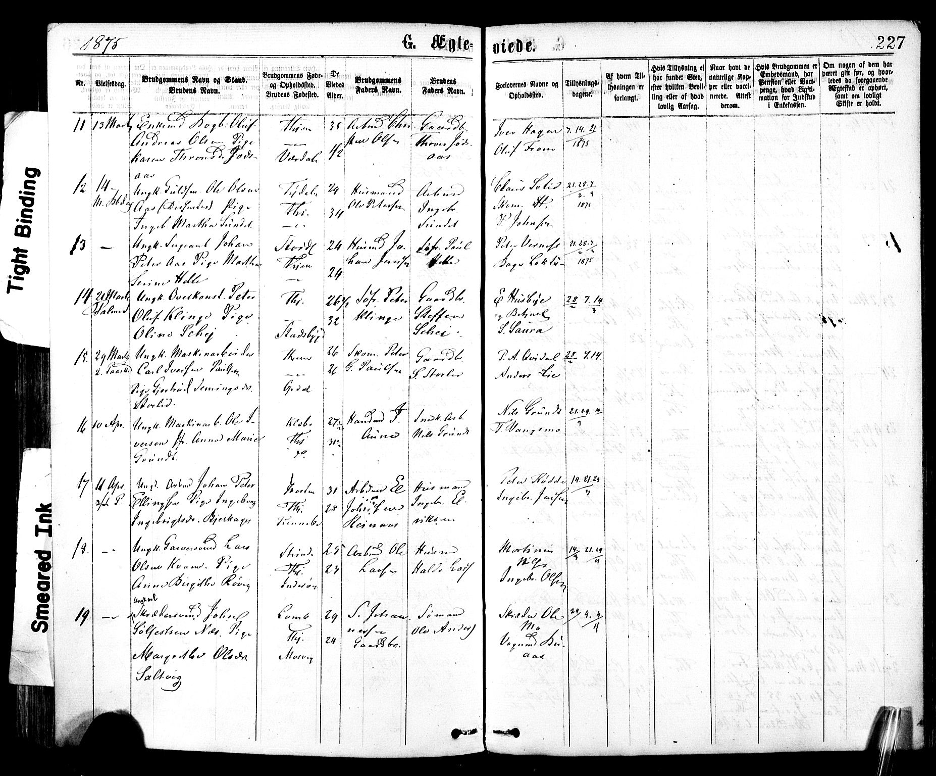 Ministerialprotokoller, klokkerbøker og fødselsregistre - Sør-Trøndelag, SAT/A-1456/602/L0118: Parish register (official) no. 602A16, 1873-1879, p. 227