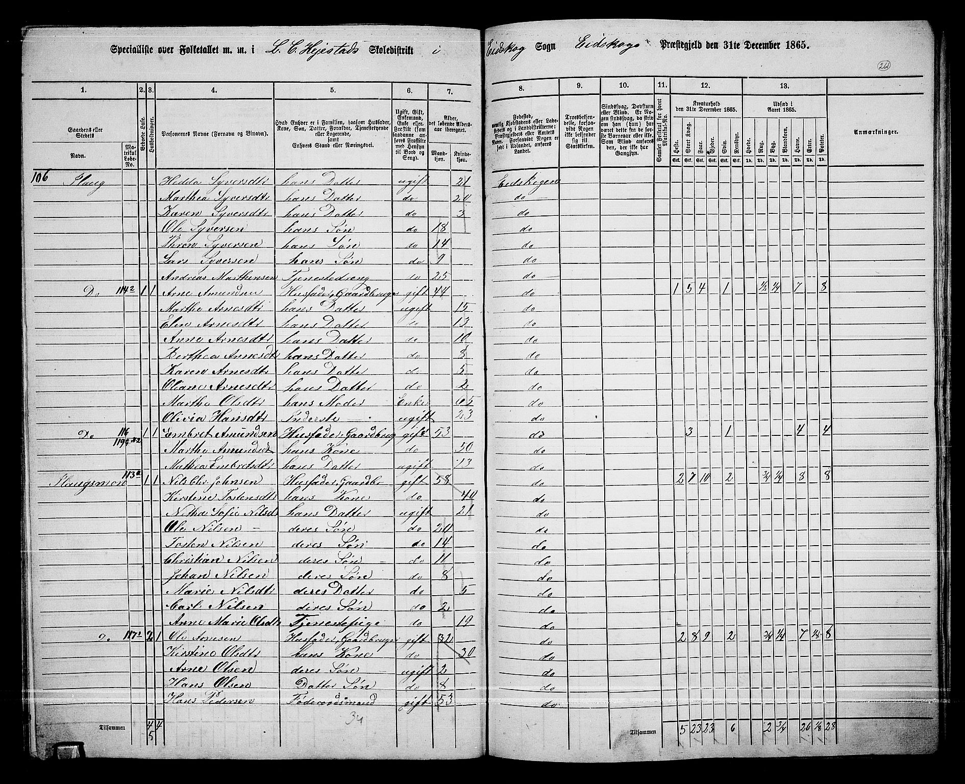 RA, 1865 census for Eidskog, 1865, p. 237