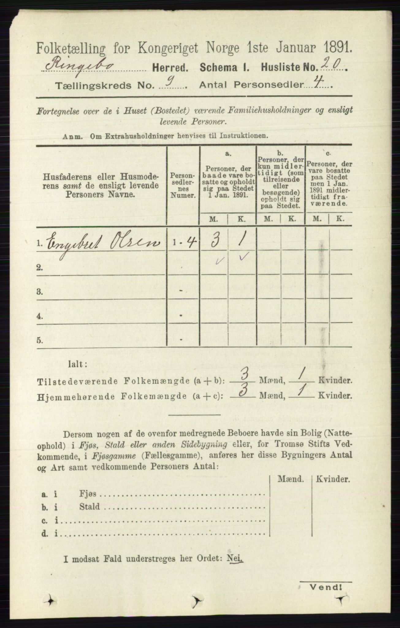 RA, 1891 census for 0520 Ringebu, 1891, p. 4181