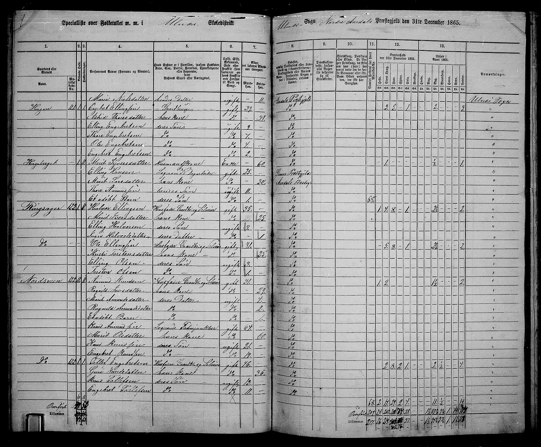 RA, 1865 census for Nord-Aurdal, 1865, p. 118