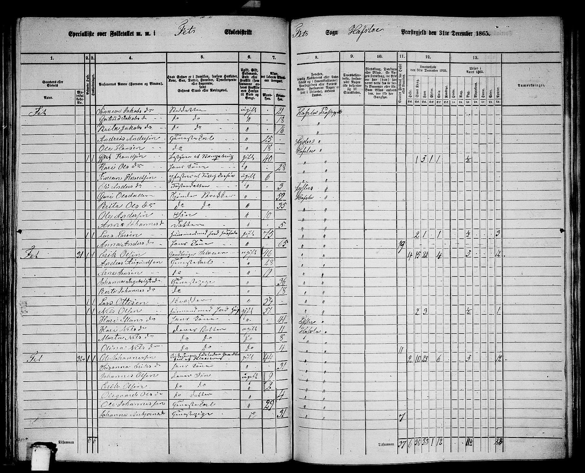 RA, 1865 census for Hafslo, 1865, p. 106