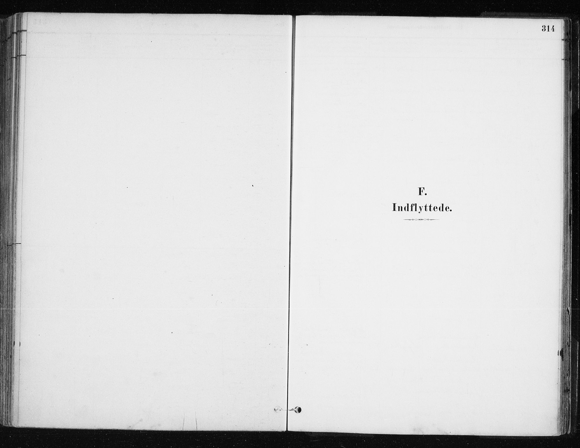 Lyngen sokneprestembete, SATØ/S-1289/H/He/Hea/L0007kirke: Parish register (official) no. 7, 1879-1890, p. 314