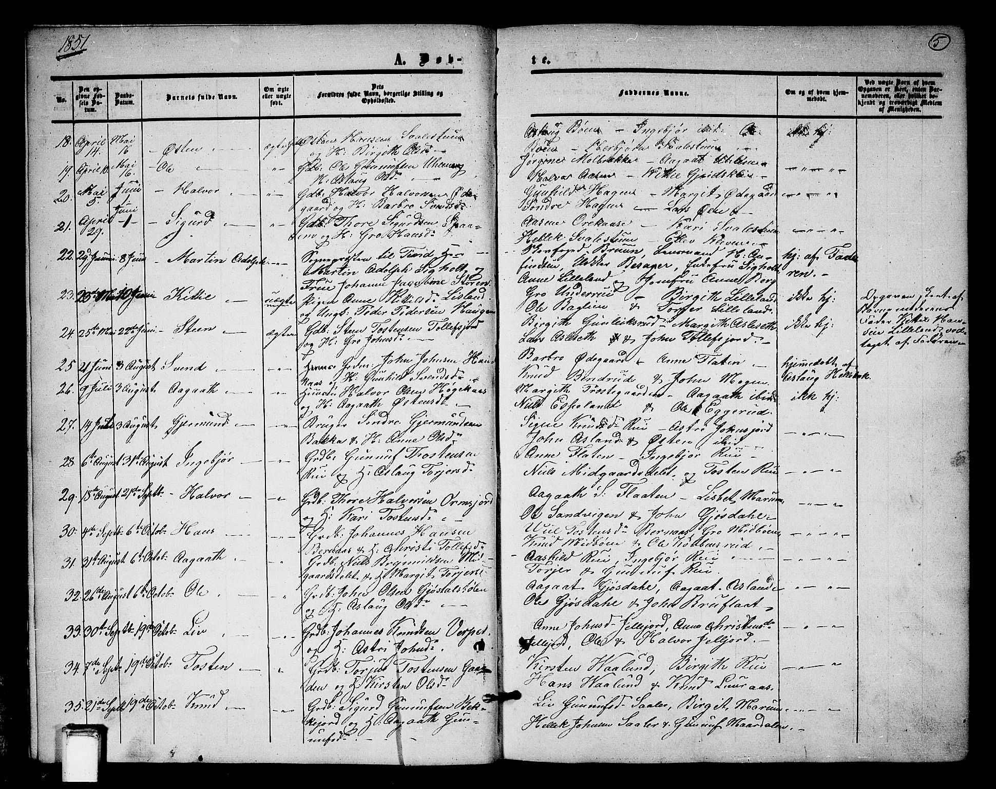 Tinn kirkebøker, SAKO/A-308/G/Ga/L0002: Parish register (copy) no. I 2, 1851-1883, p. 5