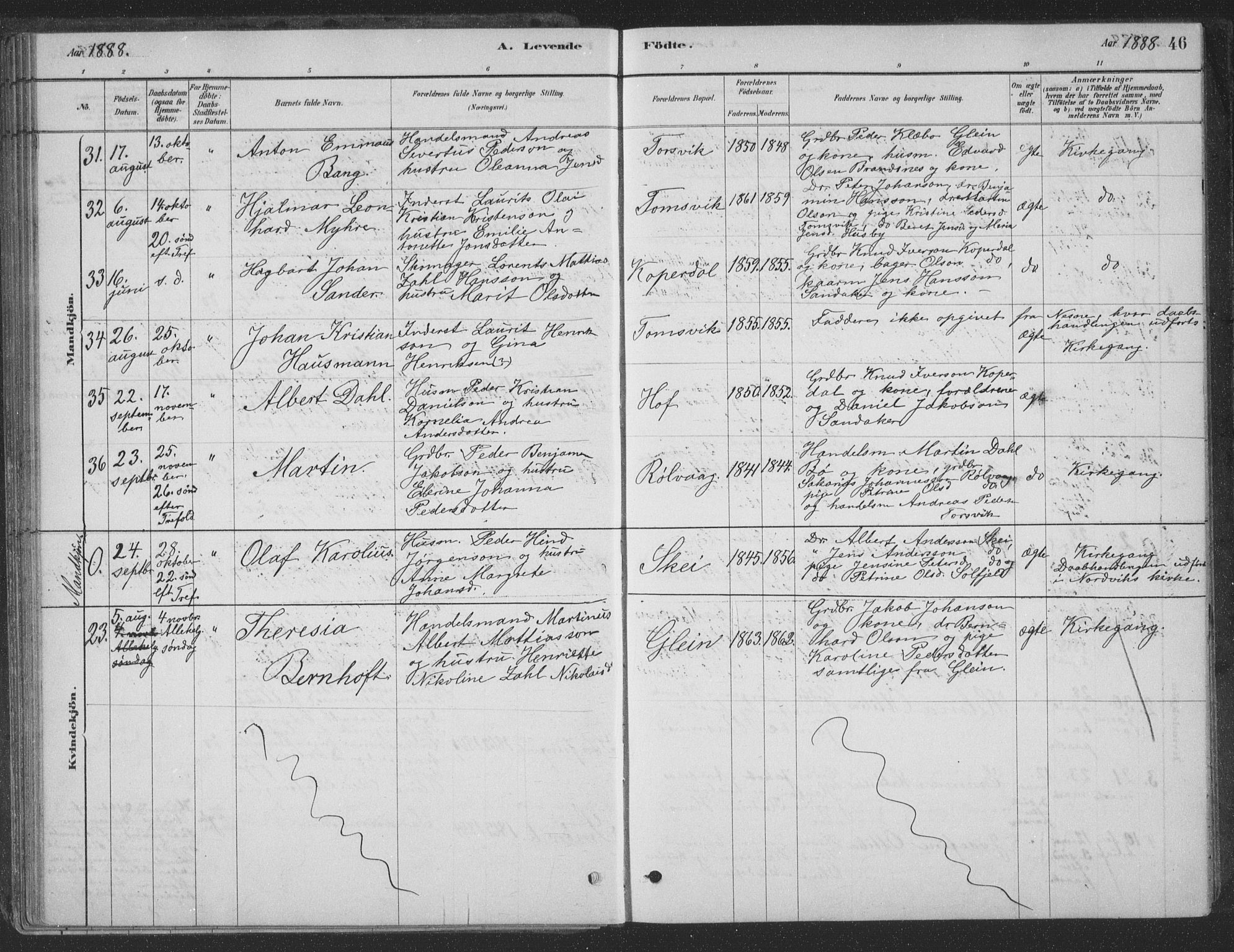 Ministerialprotokoller, klokkerbøker og fødselsregistre - Nordland, SAT/A-1459/835/L0532: Parish register (copy) no. 835C04, 1880-1905, p. 46