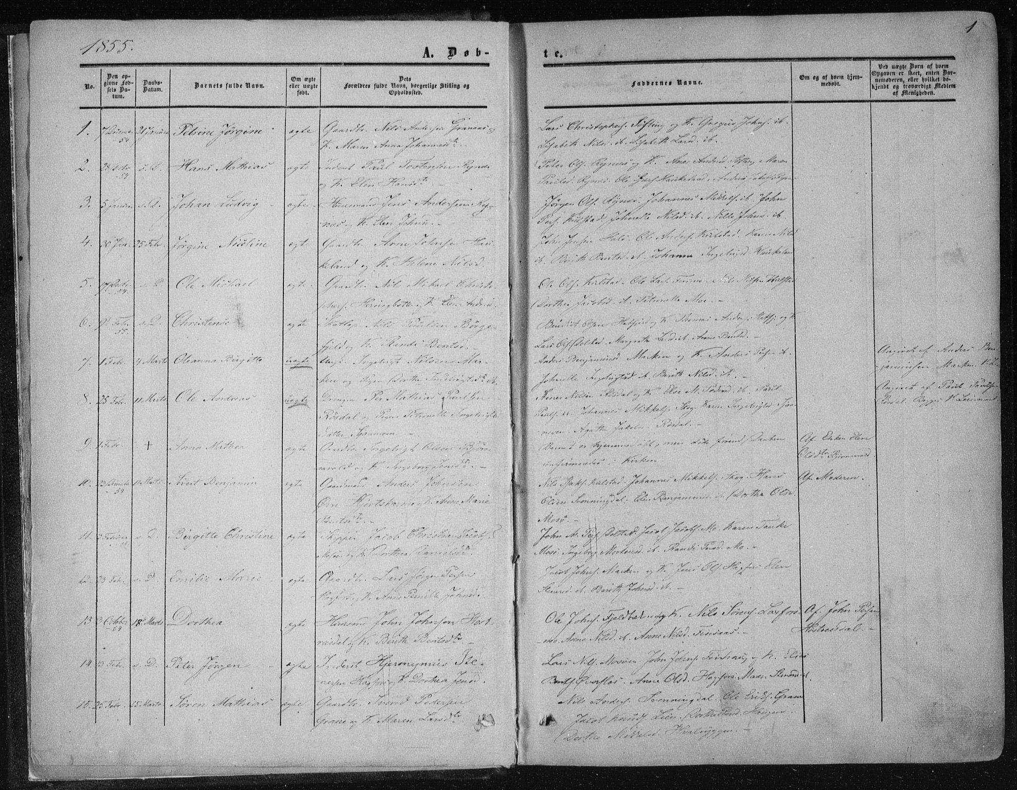 Ministerialprotokoller, klokkerbøker og fødselsregistre - Nordland, SAT/A-1459/820/L0293: Parish register (official) no. 820A14, 1855-1865, p. 1