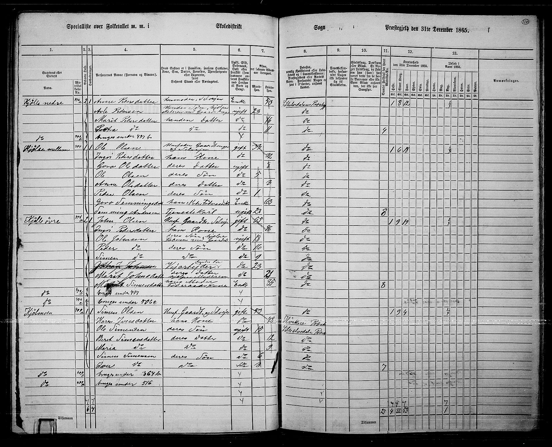 RA, 1865 census for Lille Elvedalen, 1865, p. 95