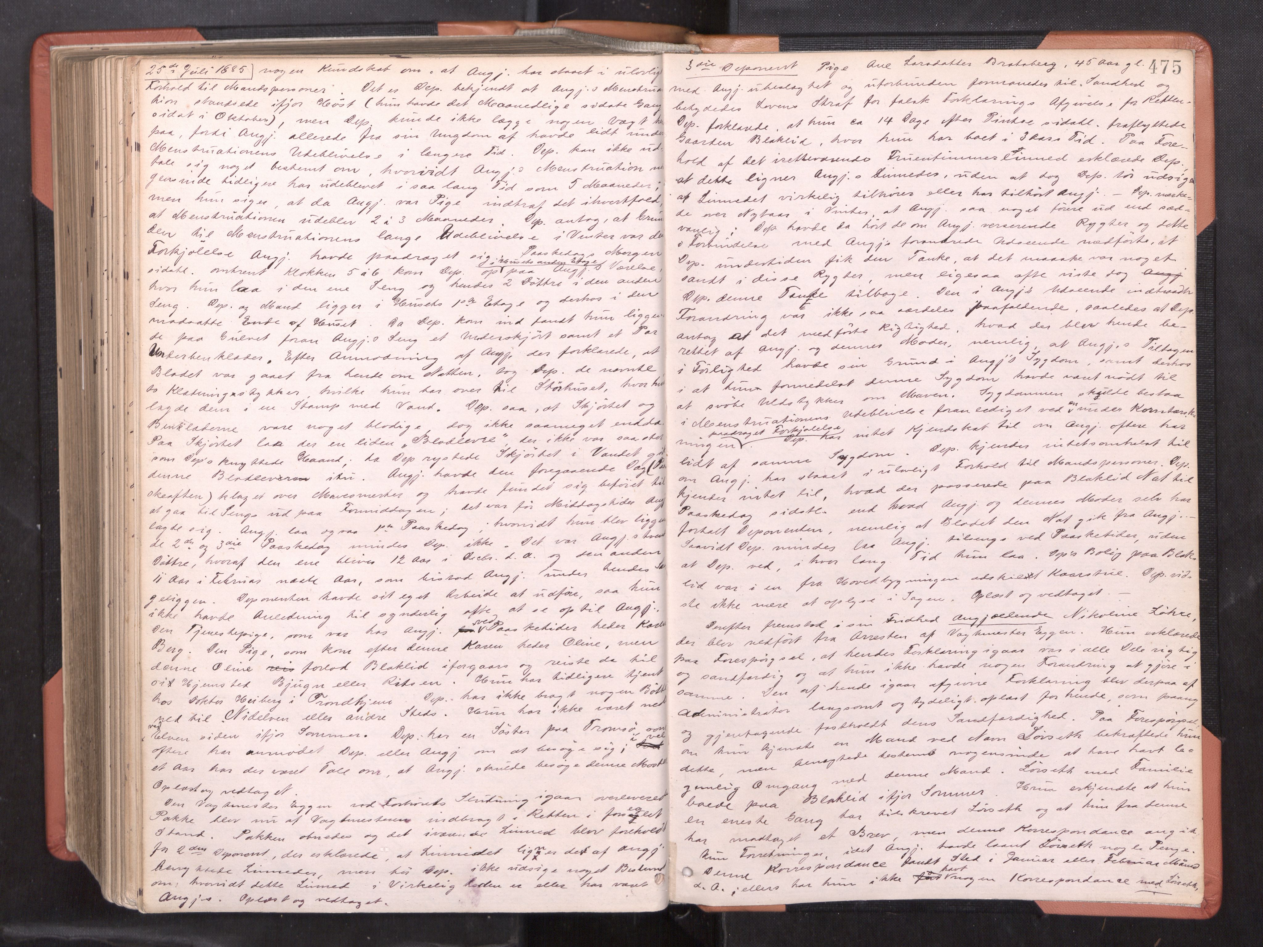 Strinda og Selbu sorenskriveri, AV/SAT-A-0015/1/1B/L0014: Ekstrarettsprot. 12, 1872-1885, p. 474b-475a