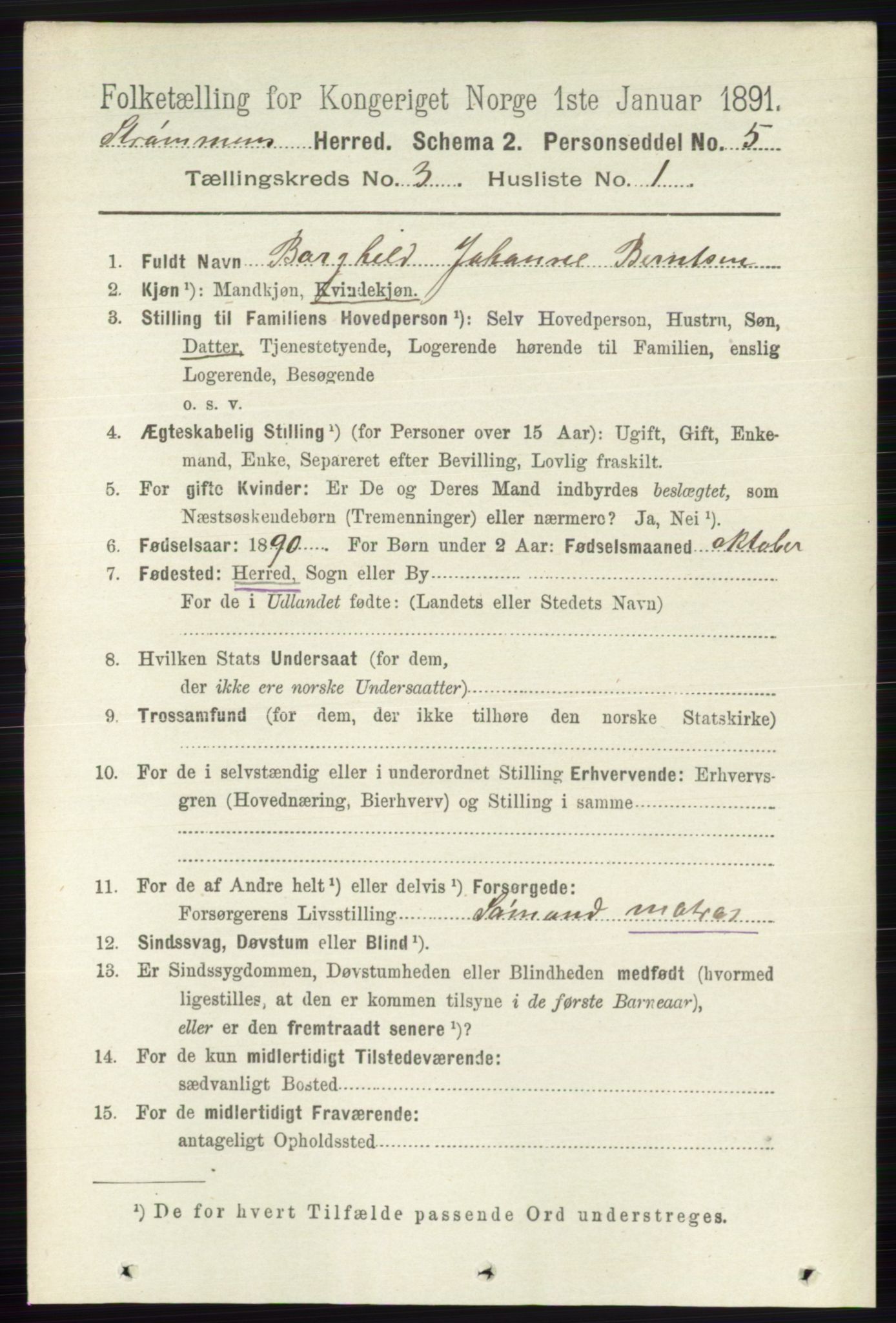 RA, 1891 census for 0711 Strømm, 1891, p. 1077