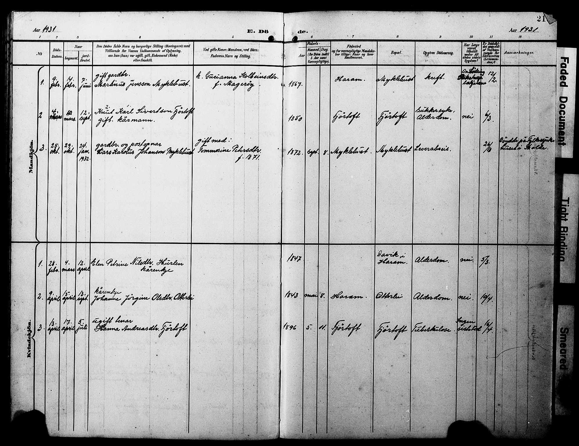 Ministerialprotokoller, klokkerbøker og fødselsregistre - Møre og Romsdal, AV/SAT-A-1454/538/L0524: Parish register (copy) no. 538C02, 1901-1931, p. 213