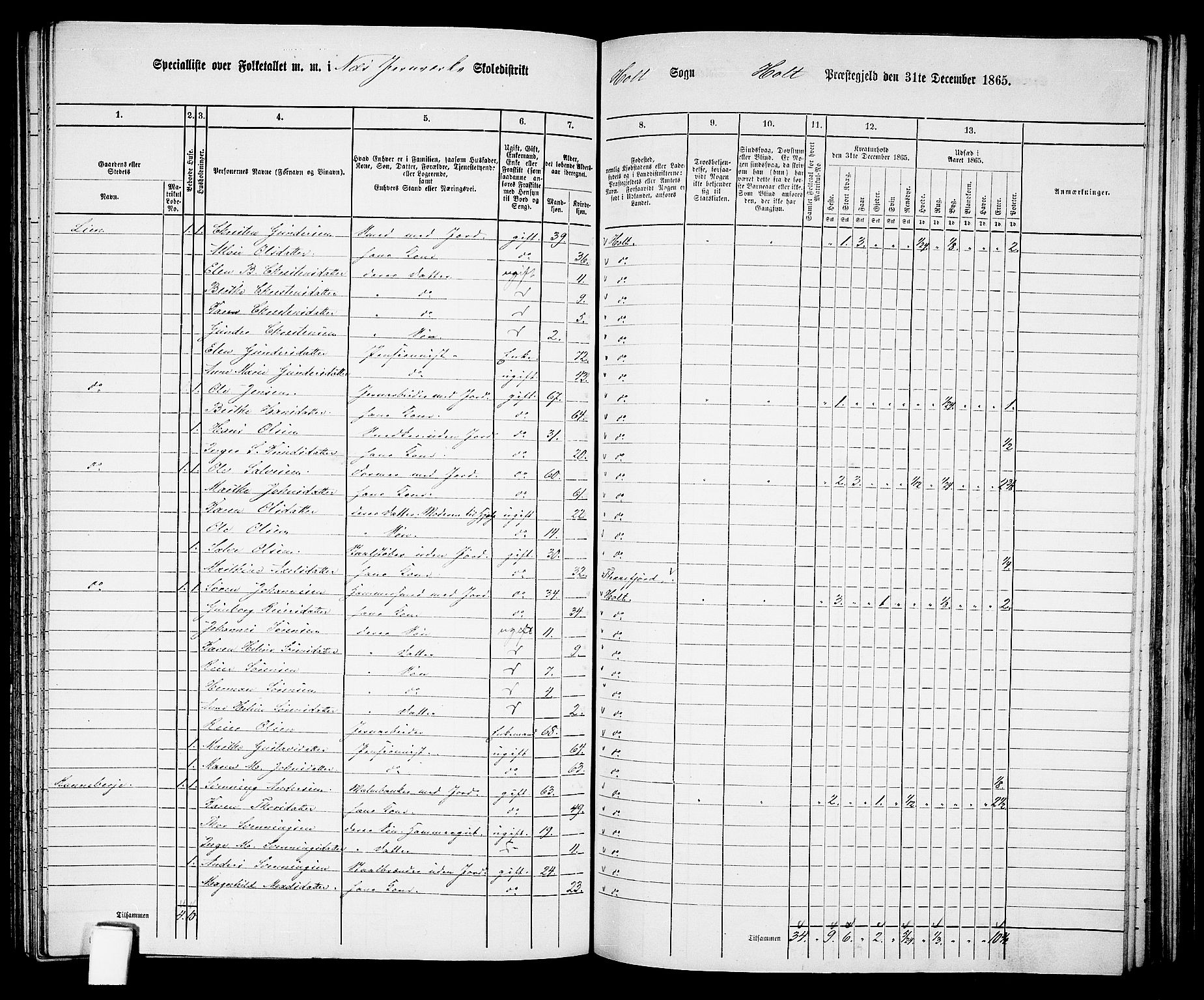 RA, 1865 census for Holt/Holt, 1865, p. 109