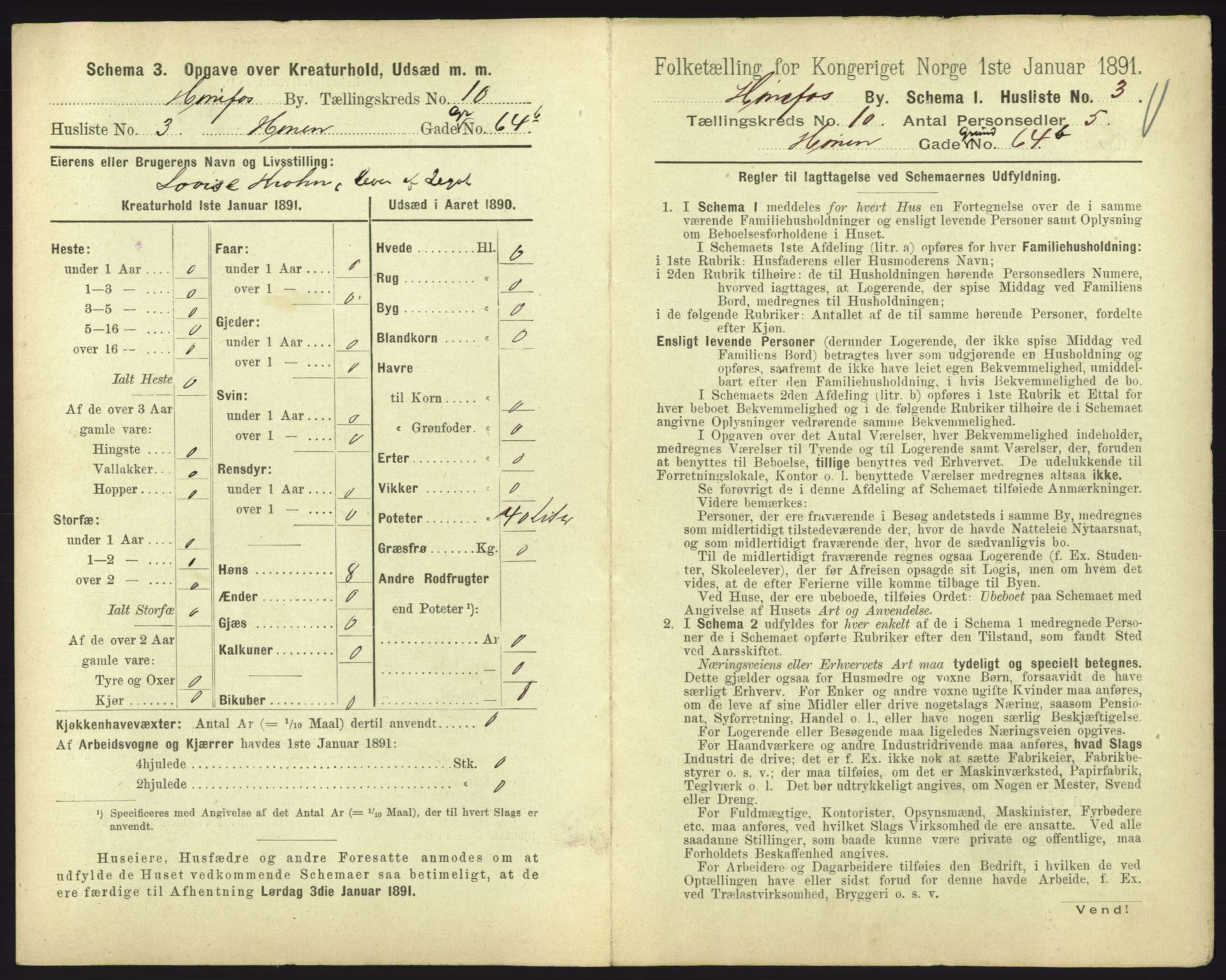 RA, 1891 census for 0601 Hønefoss, 1891, p. 237