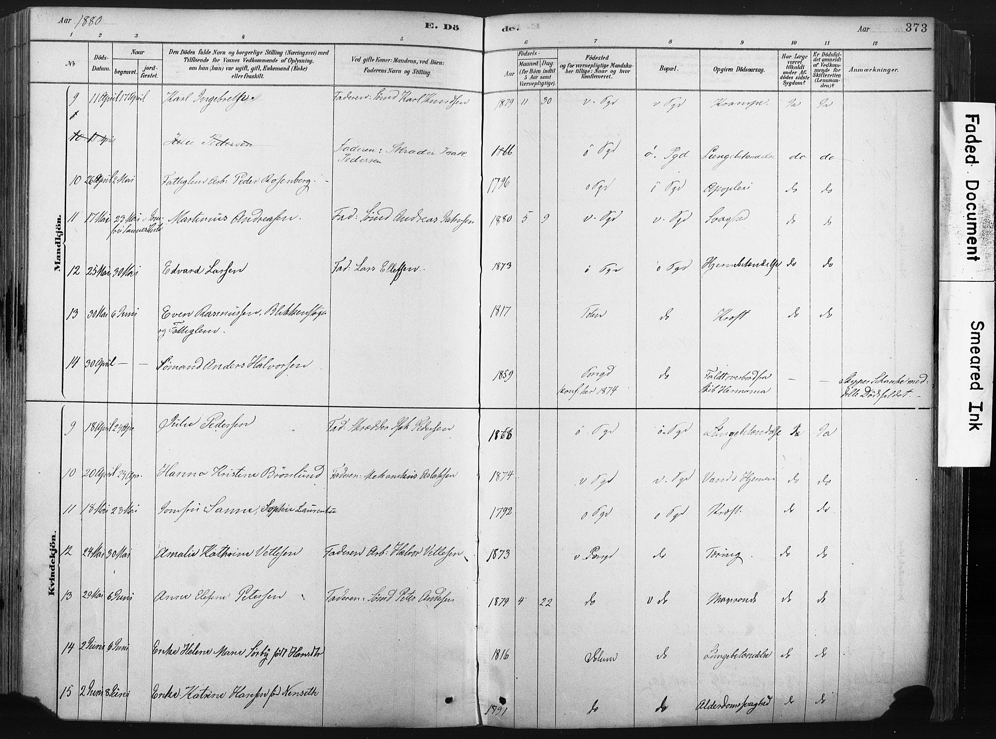 Porsgrunn kirkebøker , SAKO/A-104/F/Fa/L0008: Parish register (official) no. 8, 1878-1895, p. 373