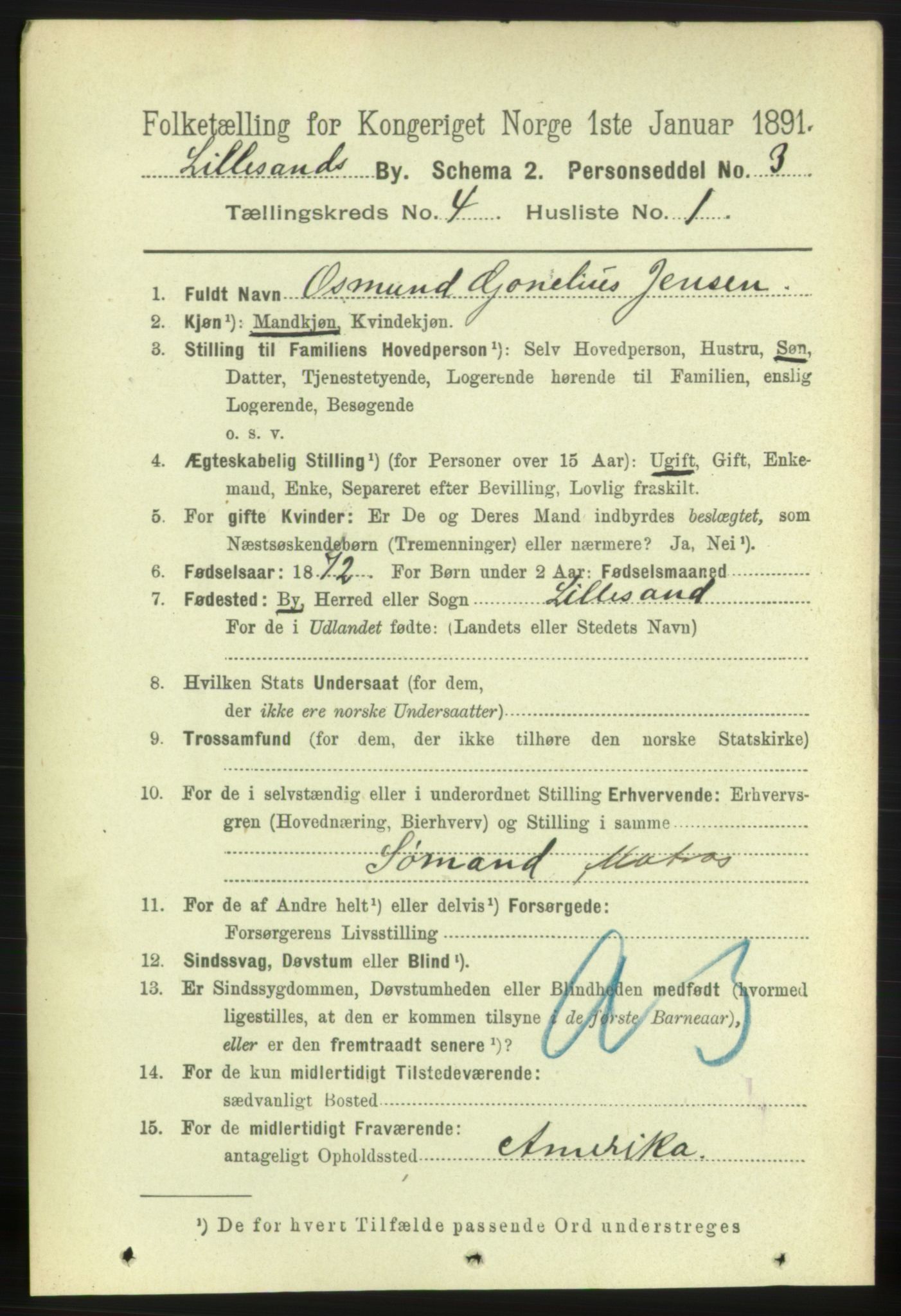 RA, 1891 census for 0905 Lillesand, 1891, p. 1067