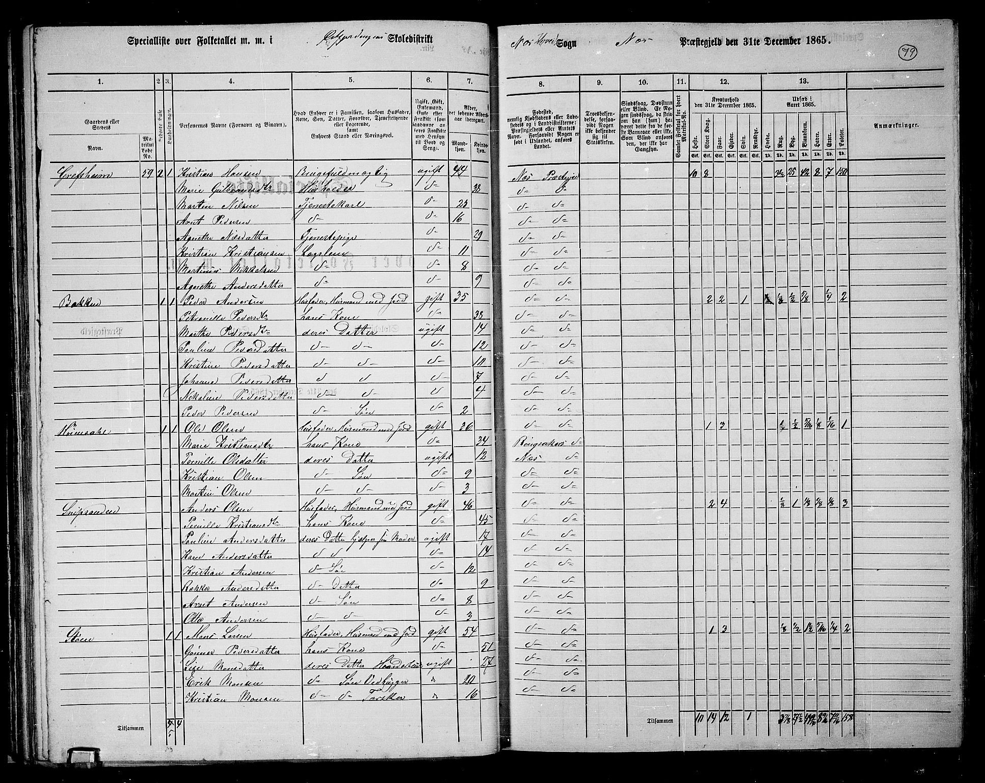 RA, 1865 census for Nes, 1865, p. 67