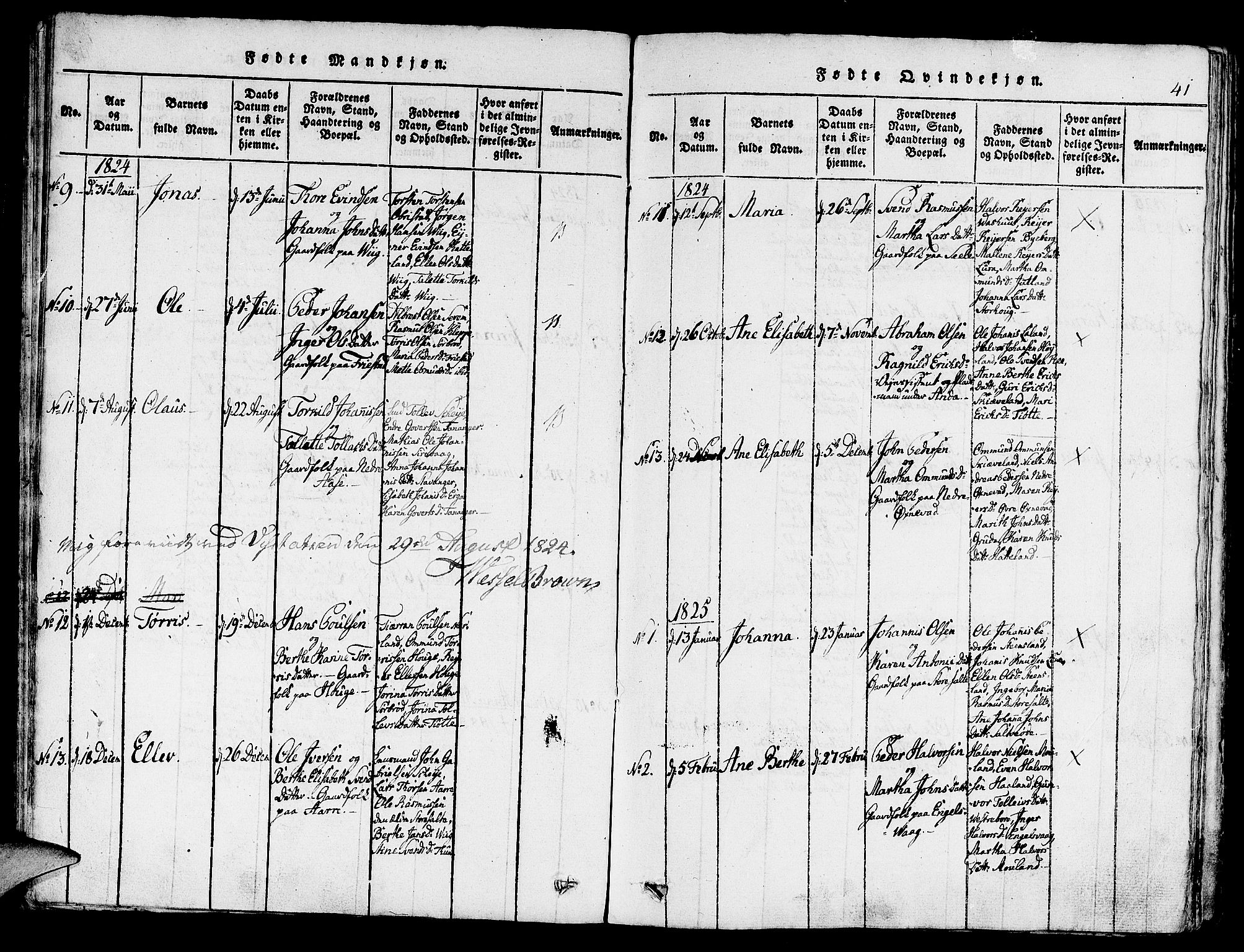 Klepp sokneprestkontor, AV/SAST-A-101803/001/3/30BA/L0002: Parish register (official) no. A 2, 1816-1833, p. 41