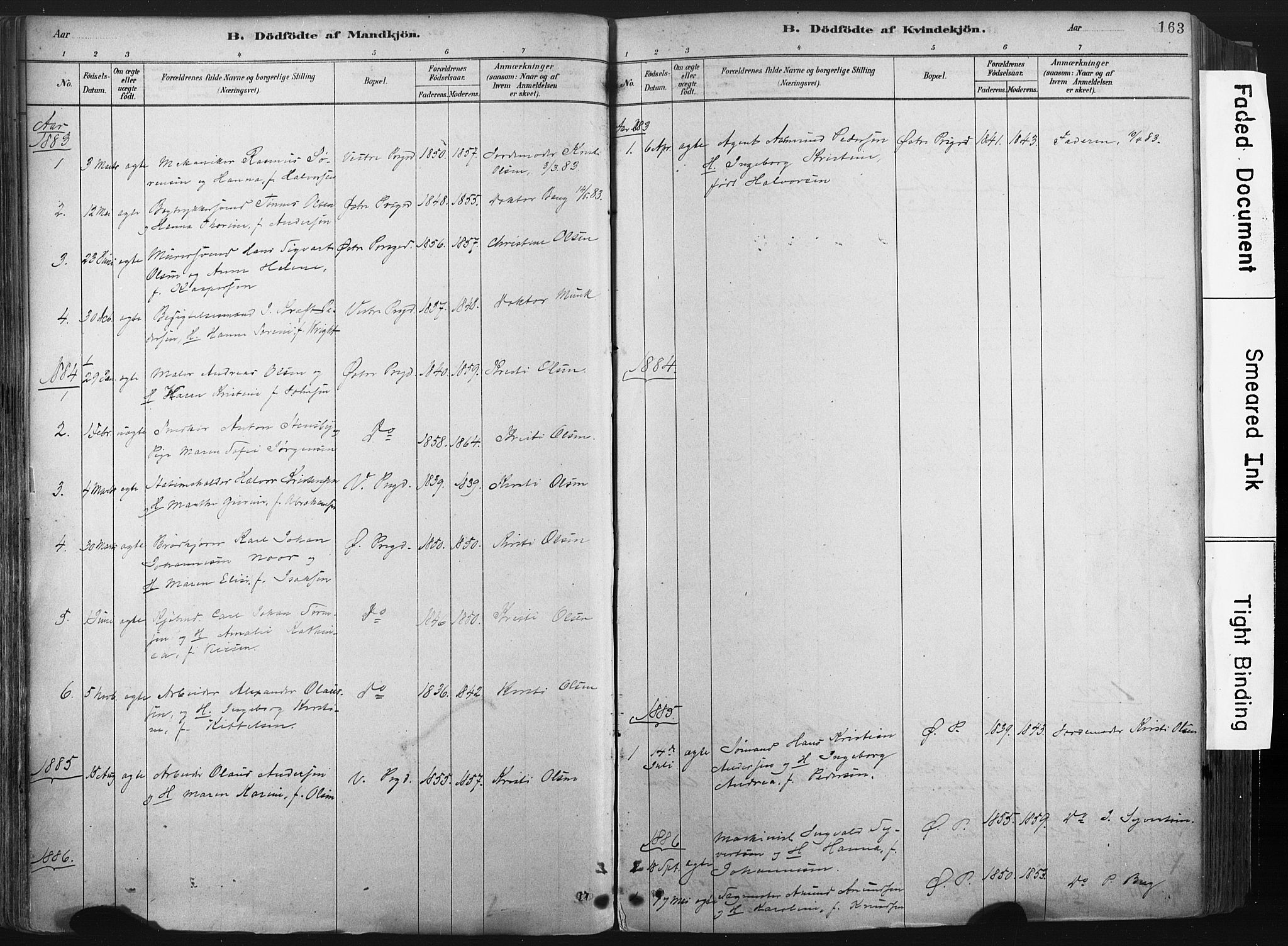 Porsgrunn kirkebøker , SAKO/A-104/F/Fa/L0008: Parish register (official) no. 8, 1878-1895, p. 163