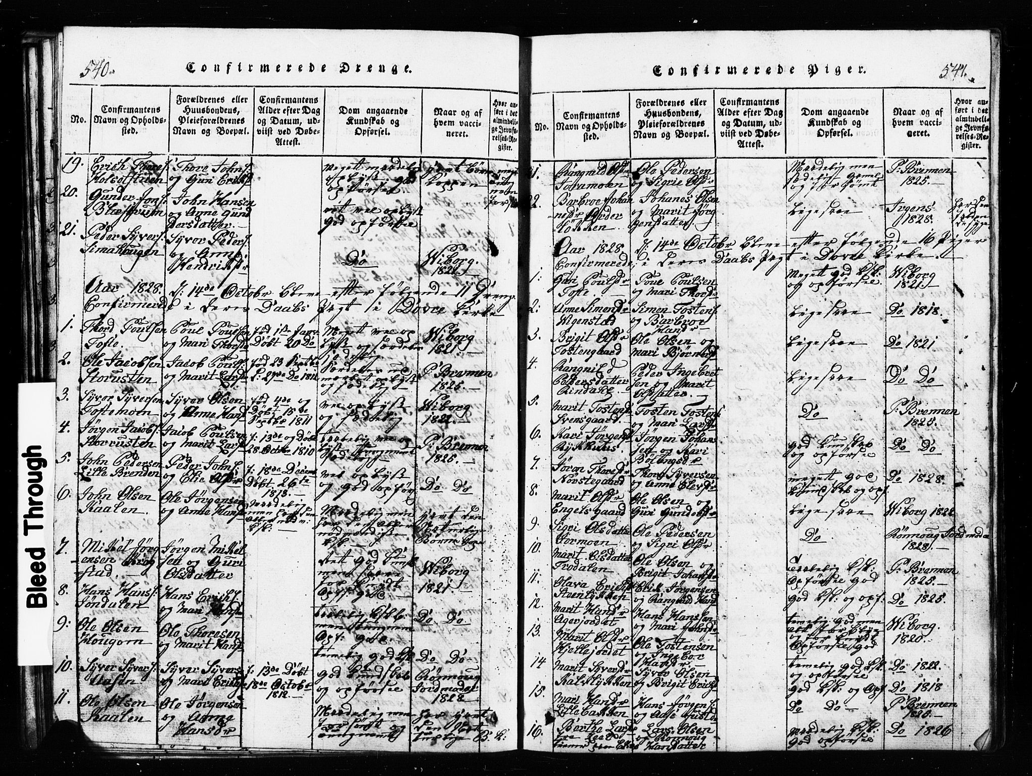 Lesja prestekontor, SAH/PREST-068/H/Ha/Hab/L0001: Parish register (copy) no. 1, 1820-1831, p. 540-541