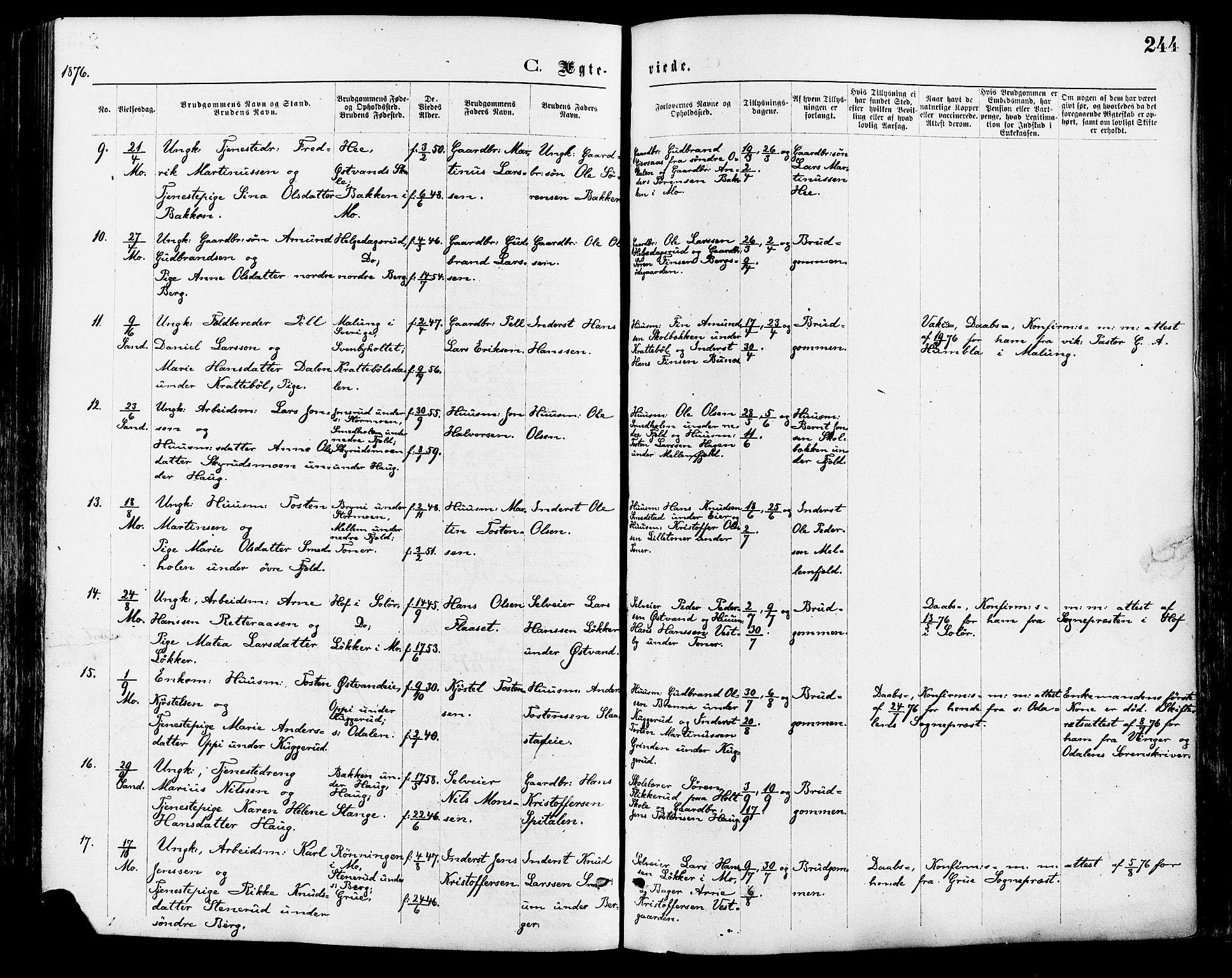 Nord-Odal prestekontor, AV/SAH-PREST-032/H/Ha/Haa/L0005: Parish register (official) no. 5, 1874-1885, p. 244