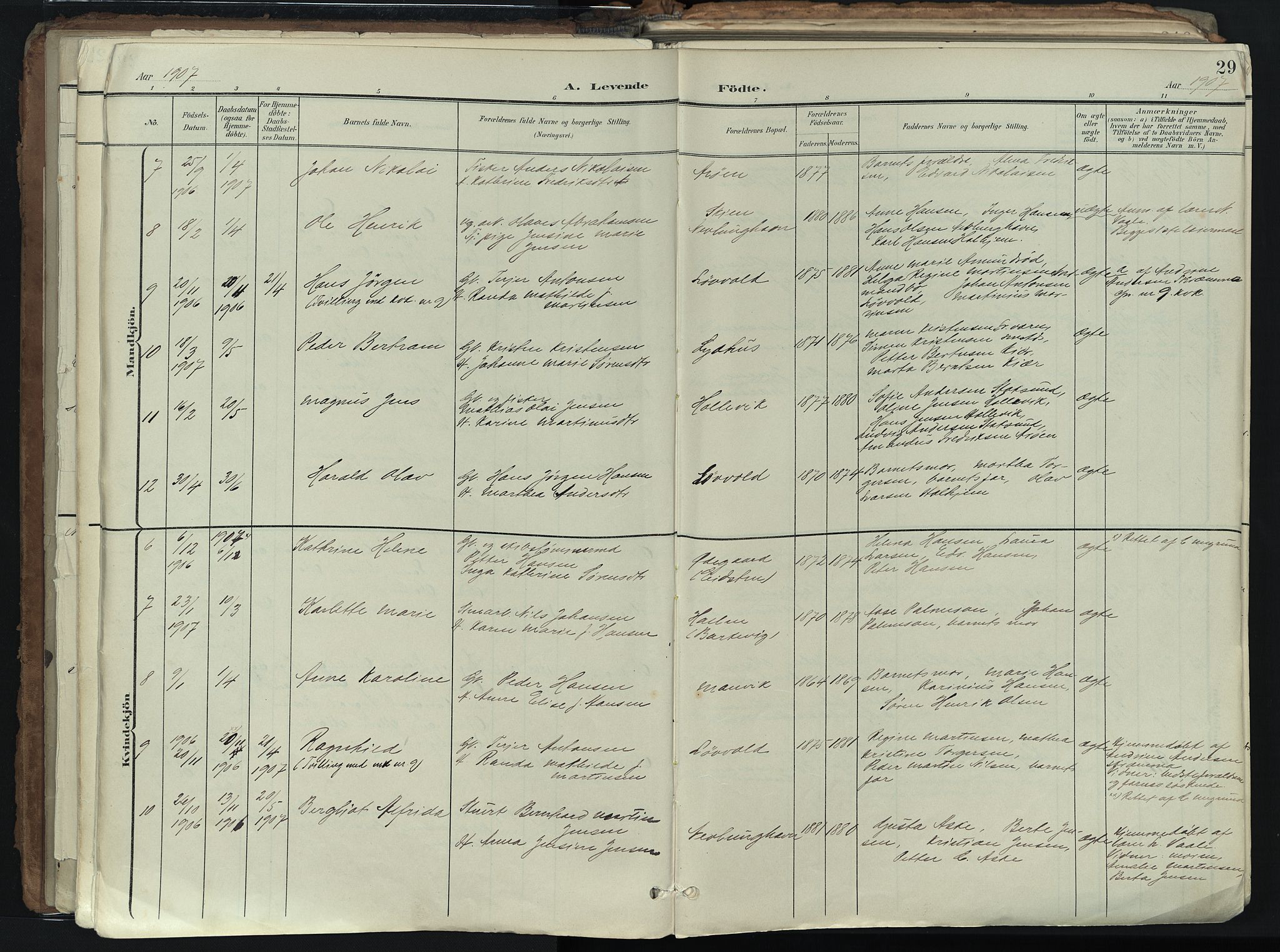 Brunlanes kirkebøker, SAKO/A-342/F/Fb/L0003: Parish register (official) no. II 3, 1900-1922, p. 29
