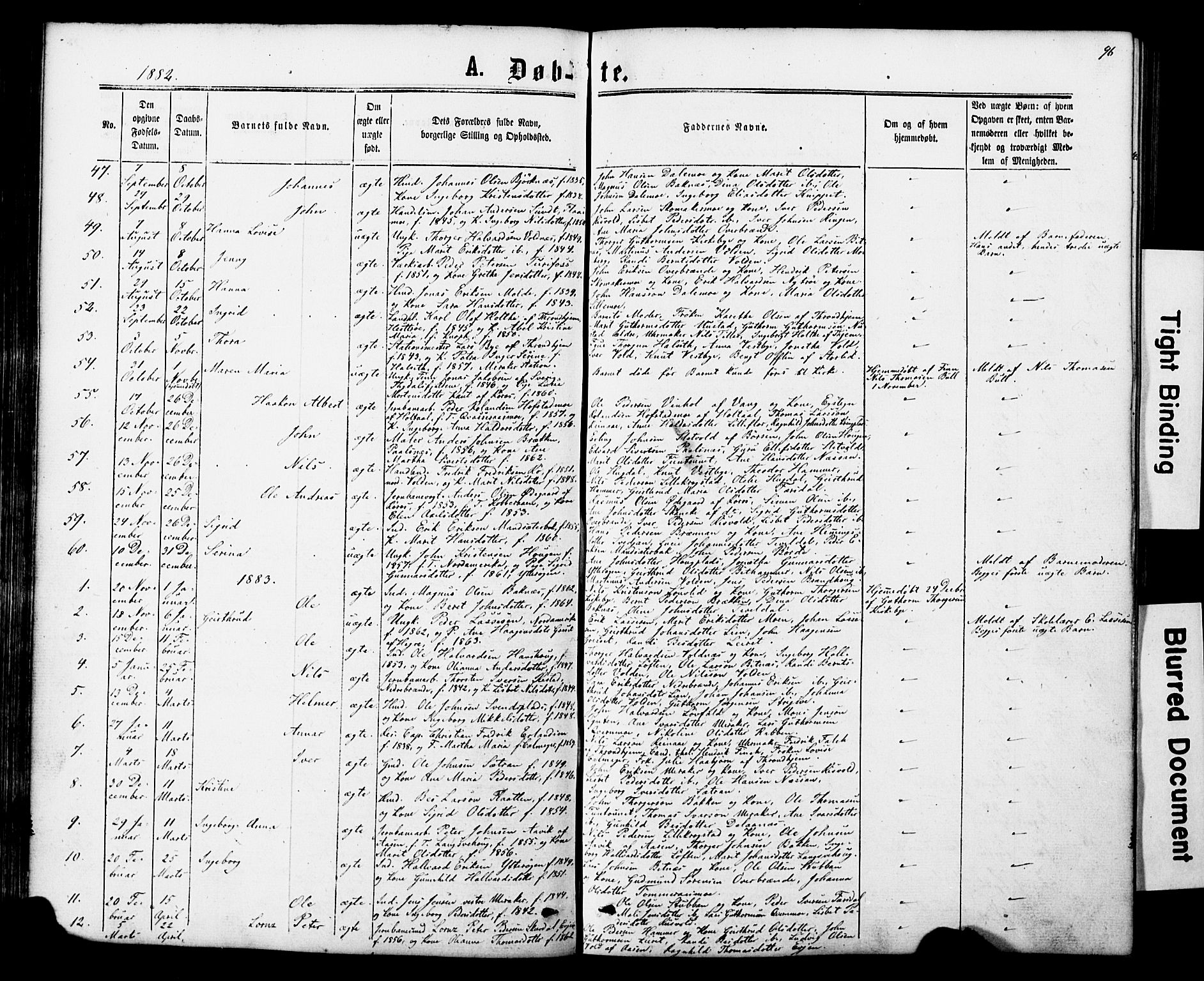 Ministerialprotokoller, klokkerbøker og fødselsregistre - Nord-Trøndelag, SAT/A-1458/706/L0049: Parish register (copy) no. 706C01, 1864-1895, p. 96
