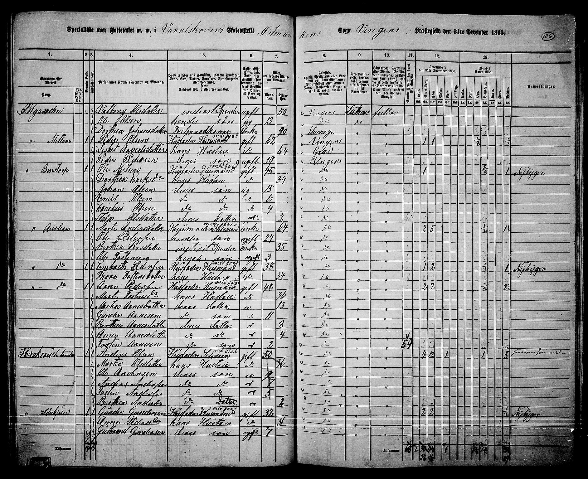 RA, 1865 census for Vinger/Vinger og Austmarka, 1865, p. 100