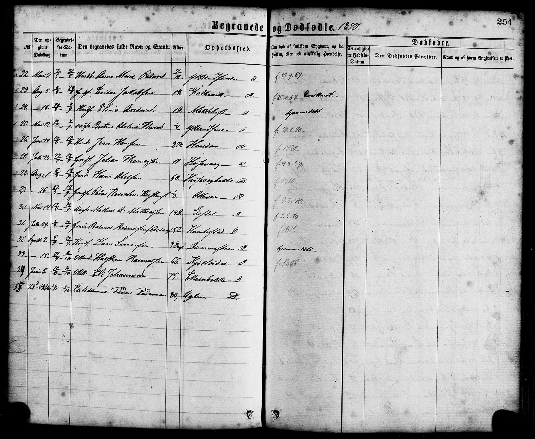 Davik sokneprestembete, AV/SAB-A-79701/H/Haa/Haaa/L0006: Parish register (official) no. A 6, 1867-1881, p. 254