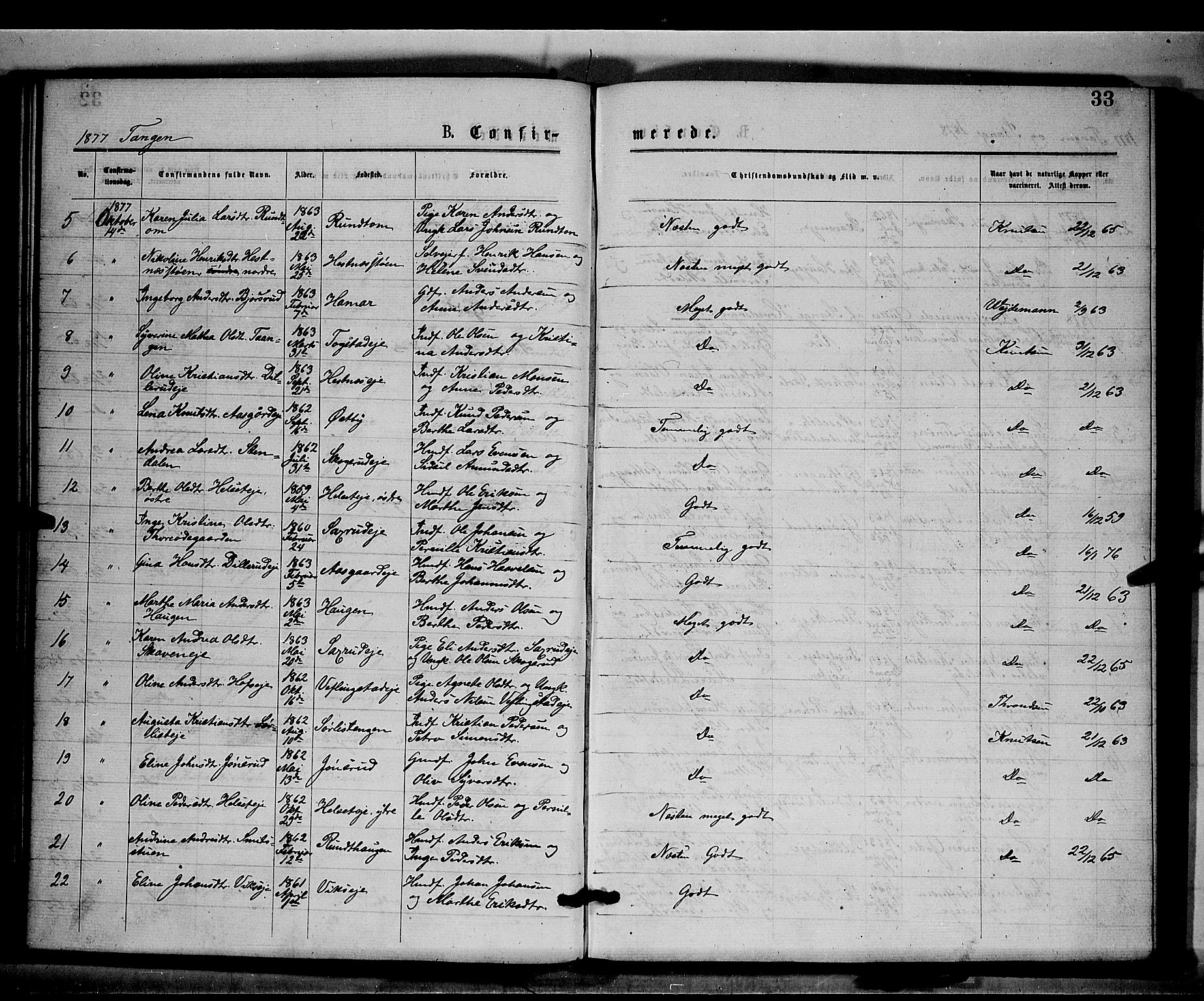 Stange prestekontor, AV/SAH-PREST-002/K/L0016: Parish register (official) no. 16, 1874-1879, p. 33