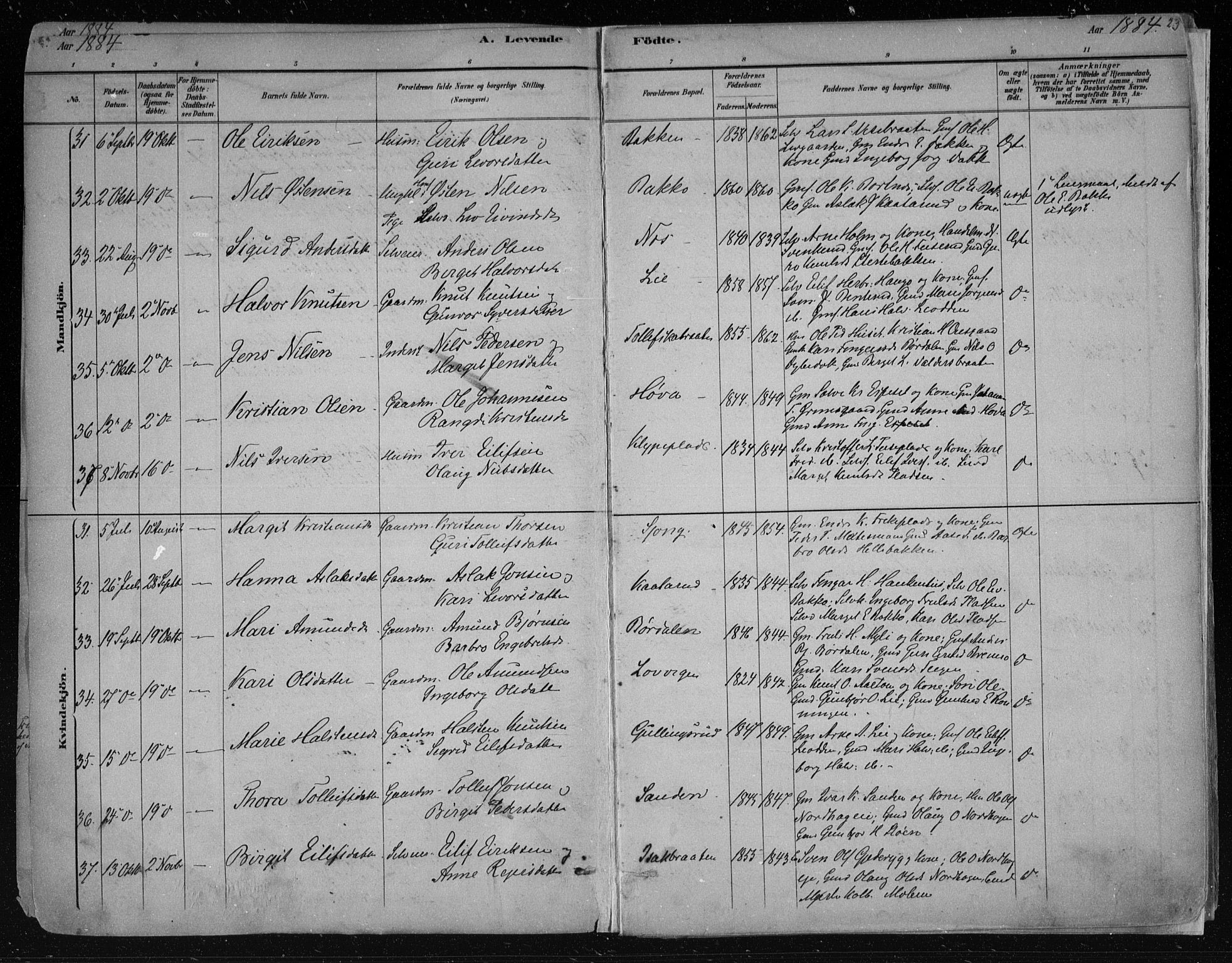 Nes kirkebøker, AV/SAKO-A-236/F/Fa/L0011: Parish register (official) no. 11, 1881-1912, p. 23