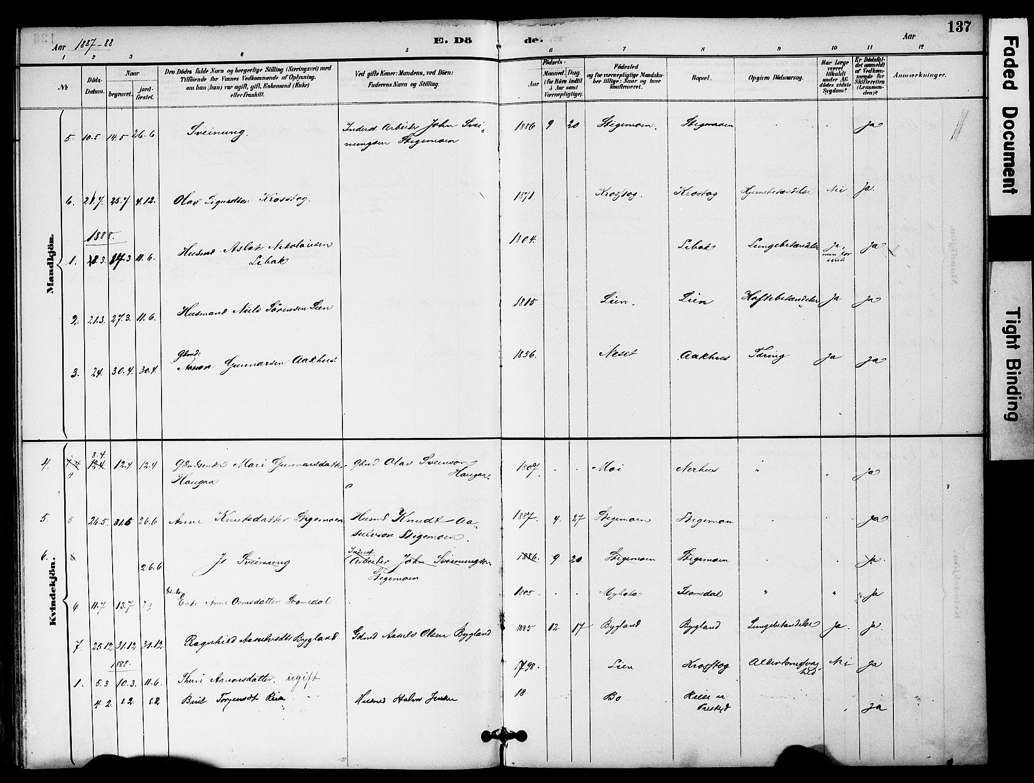 Bygland sokneprestkontor, SAK/1111-0006/F/Fa/Fab/L0007: Parish register (official) no. A 7, 1885-1909, p. 137