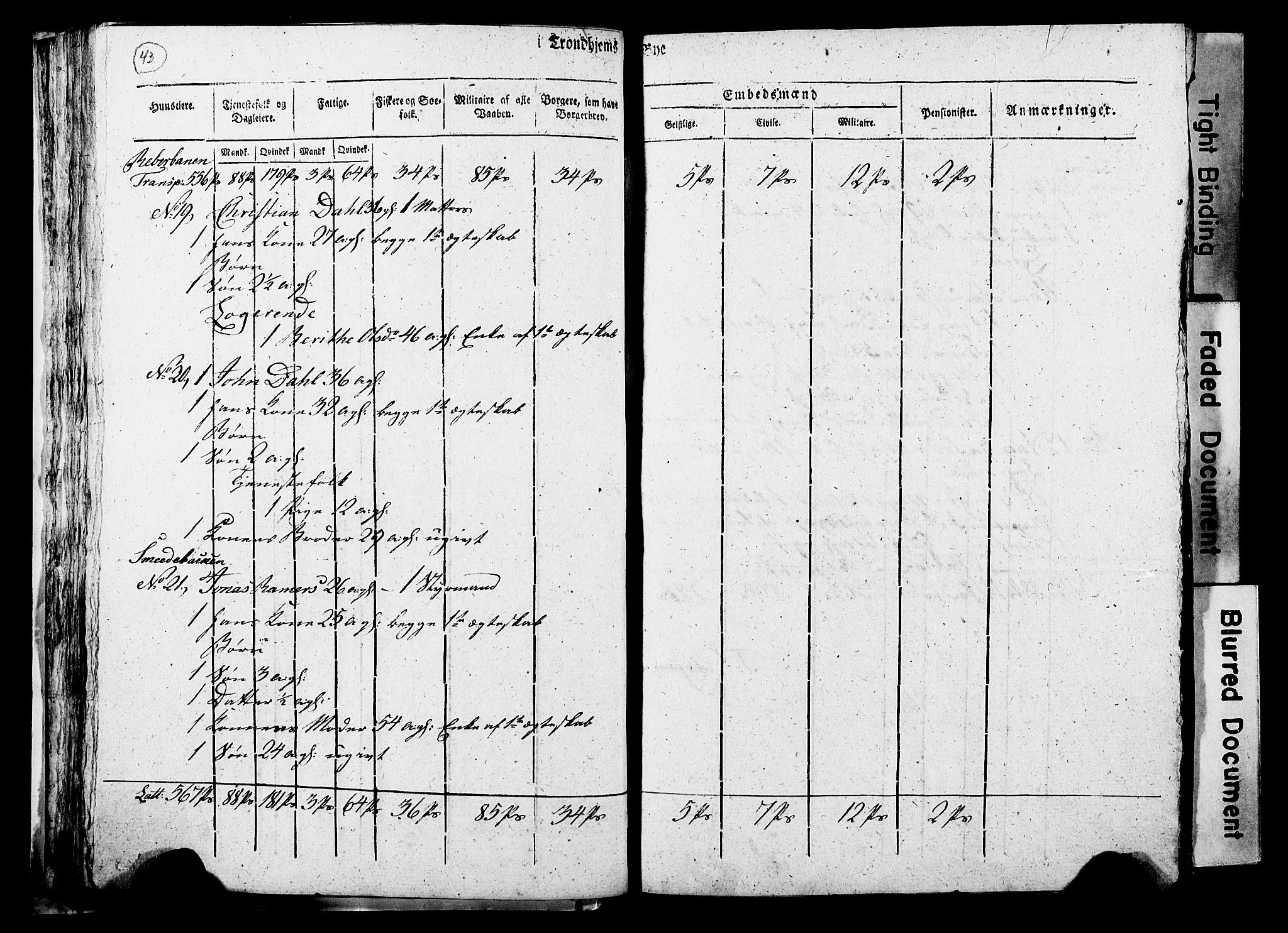 RA, Census 1815 for Trondheim, 1815, p. 42