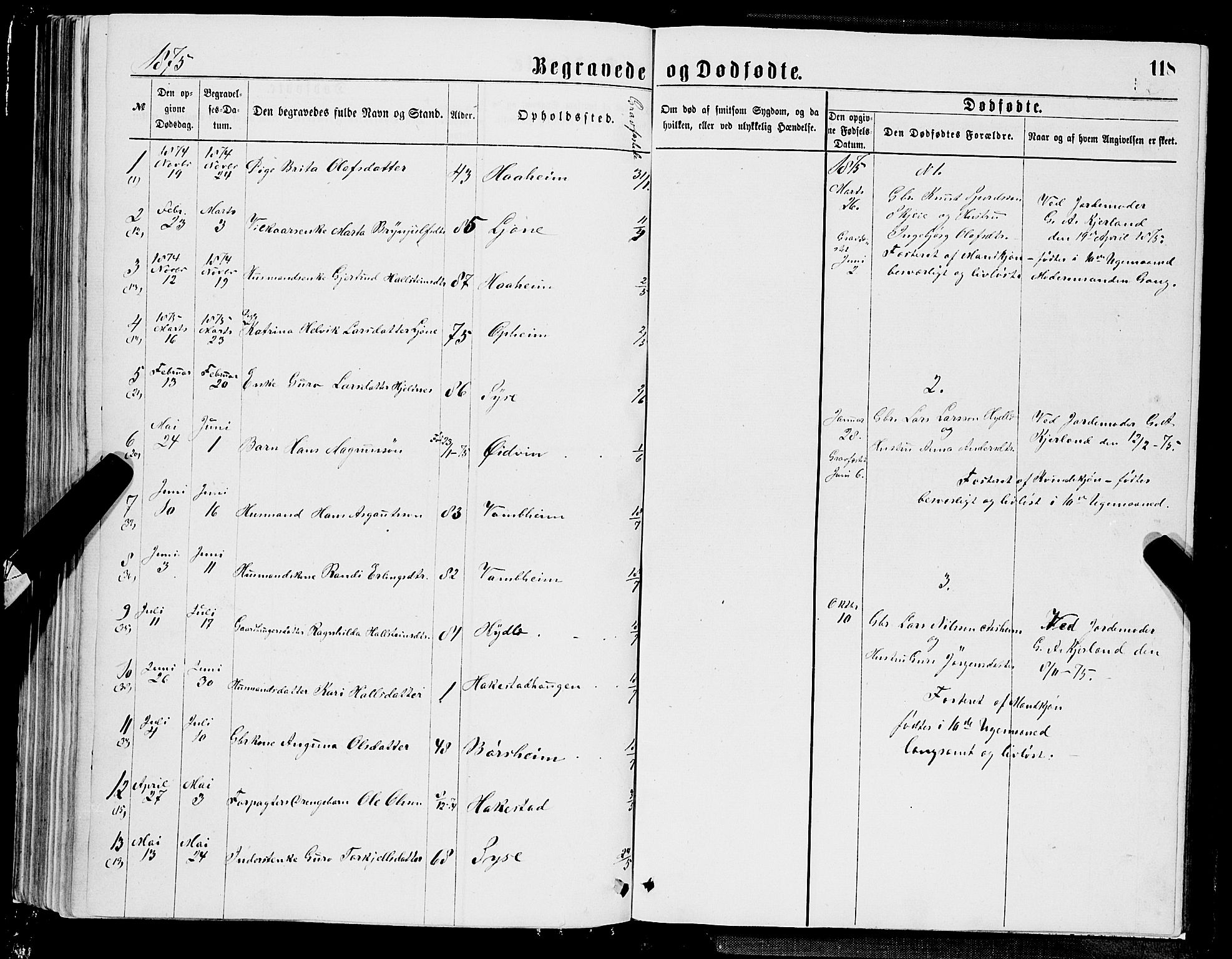 Ulvik sokneprestembete, AV/SAB-A-78801/H/Hab: Parish register (copy) no. A 2, 1869-1882, p. 118